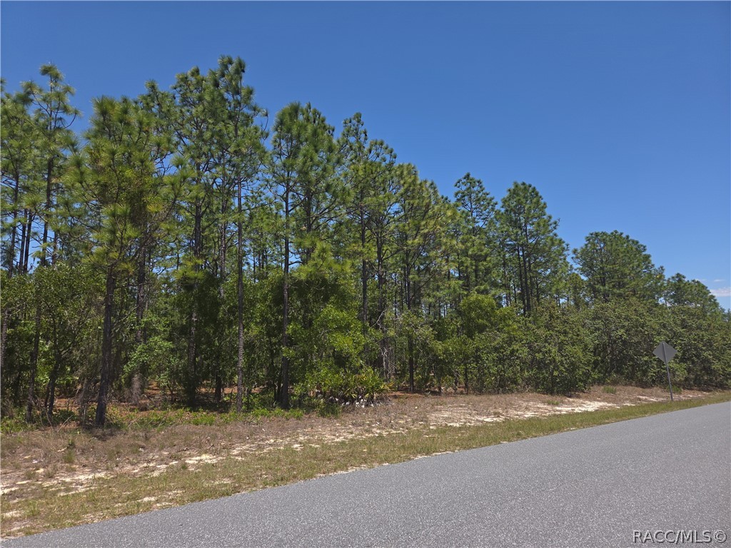 4231 W Bonanza Drive