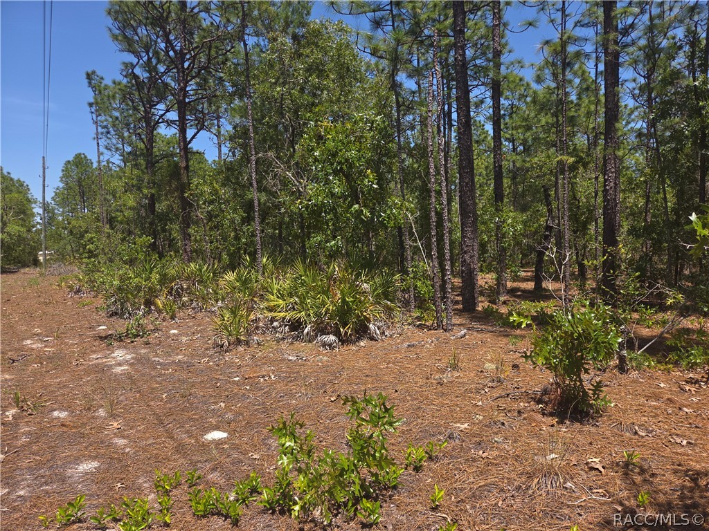 4231 W Bonanza Drive