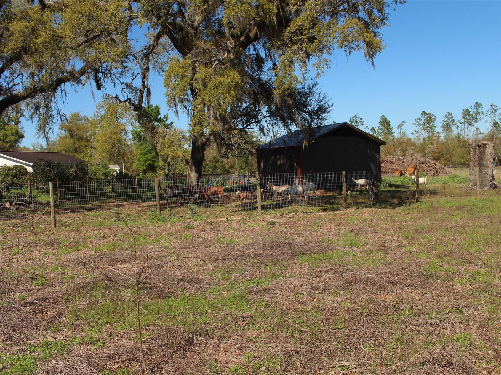 41305 DYKAS LN