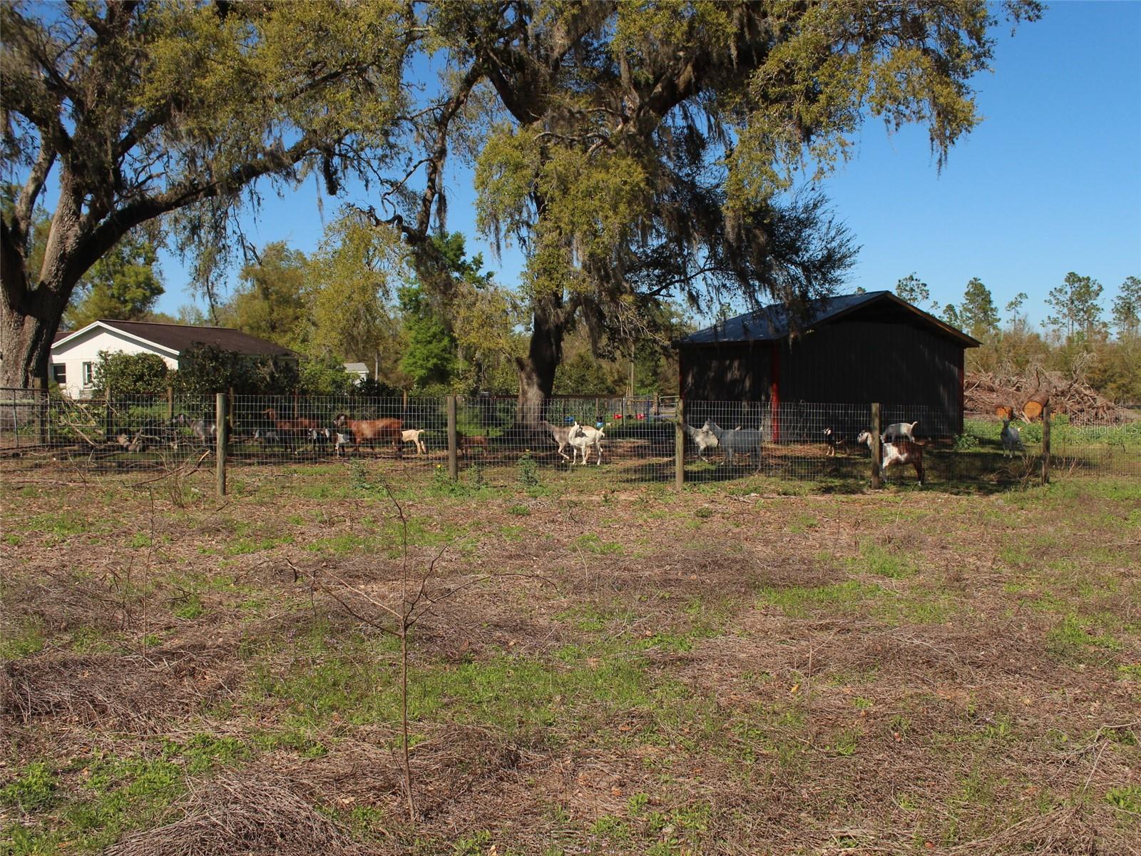 41305 DYKAS LN