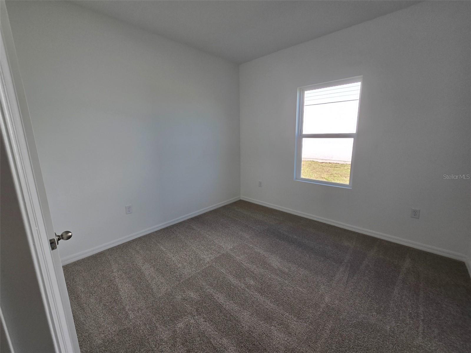 5237 PAINTED BAMBOO ST