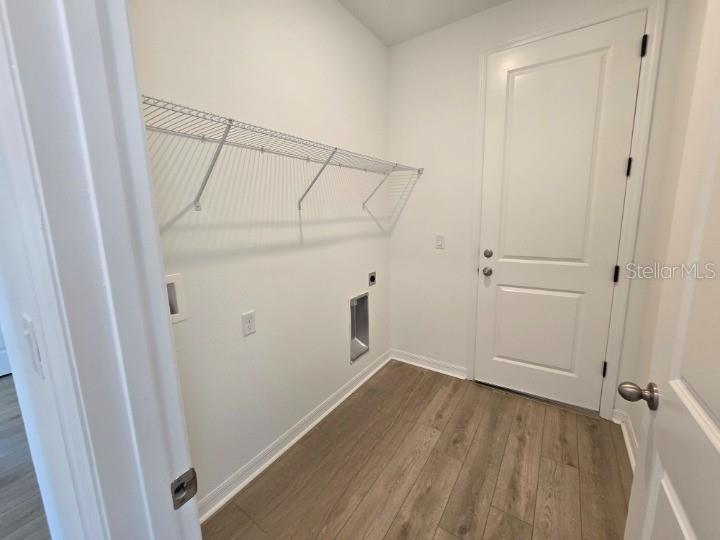 5237 PAINTED BAMBOO ST