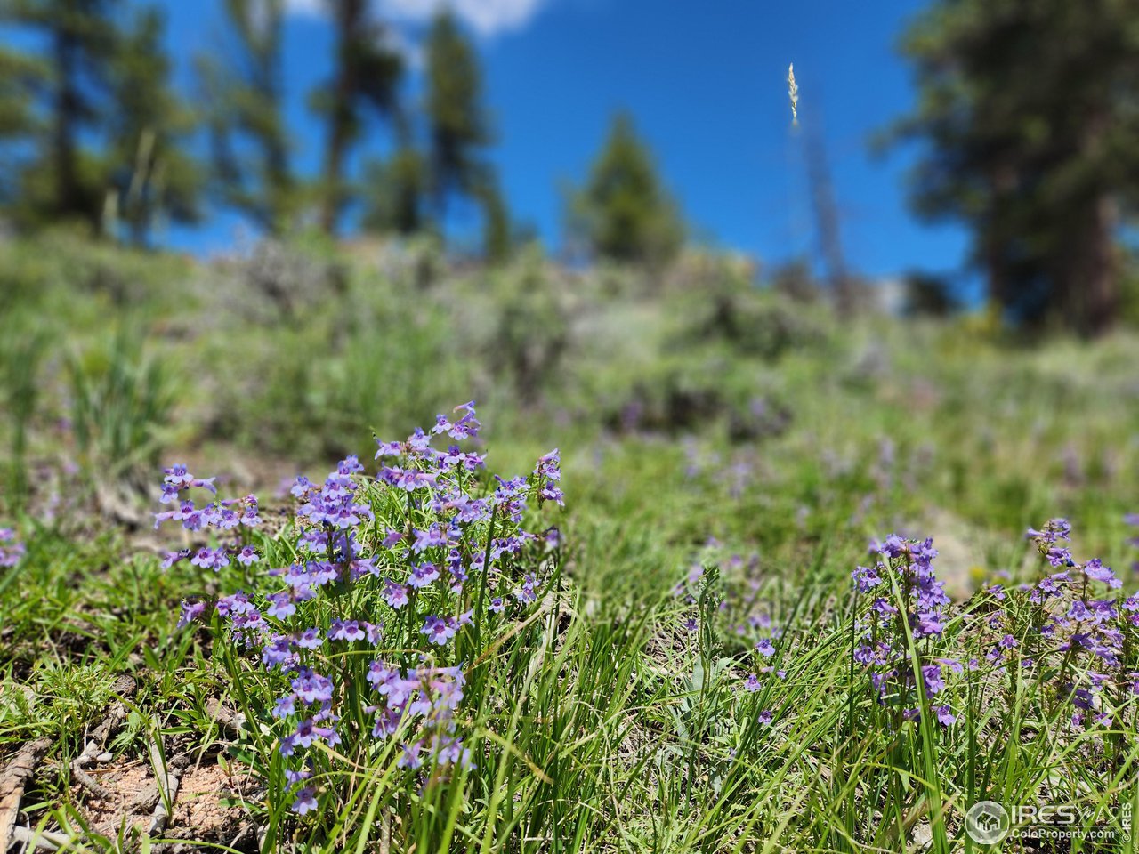 4843 N County Road 73C