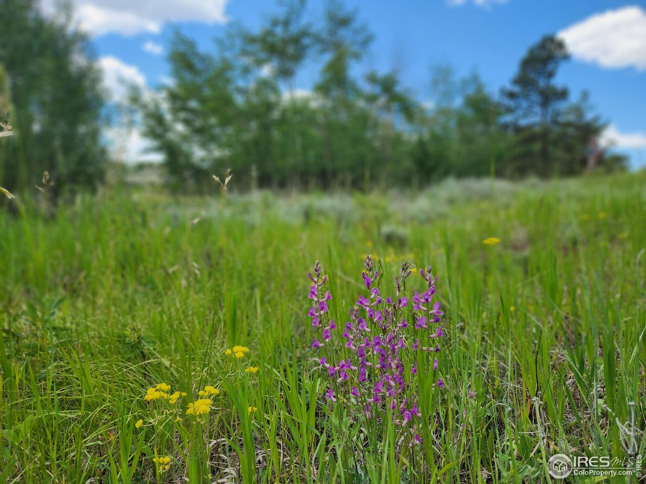 4843 N County Road 73C