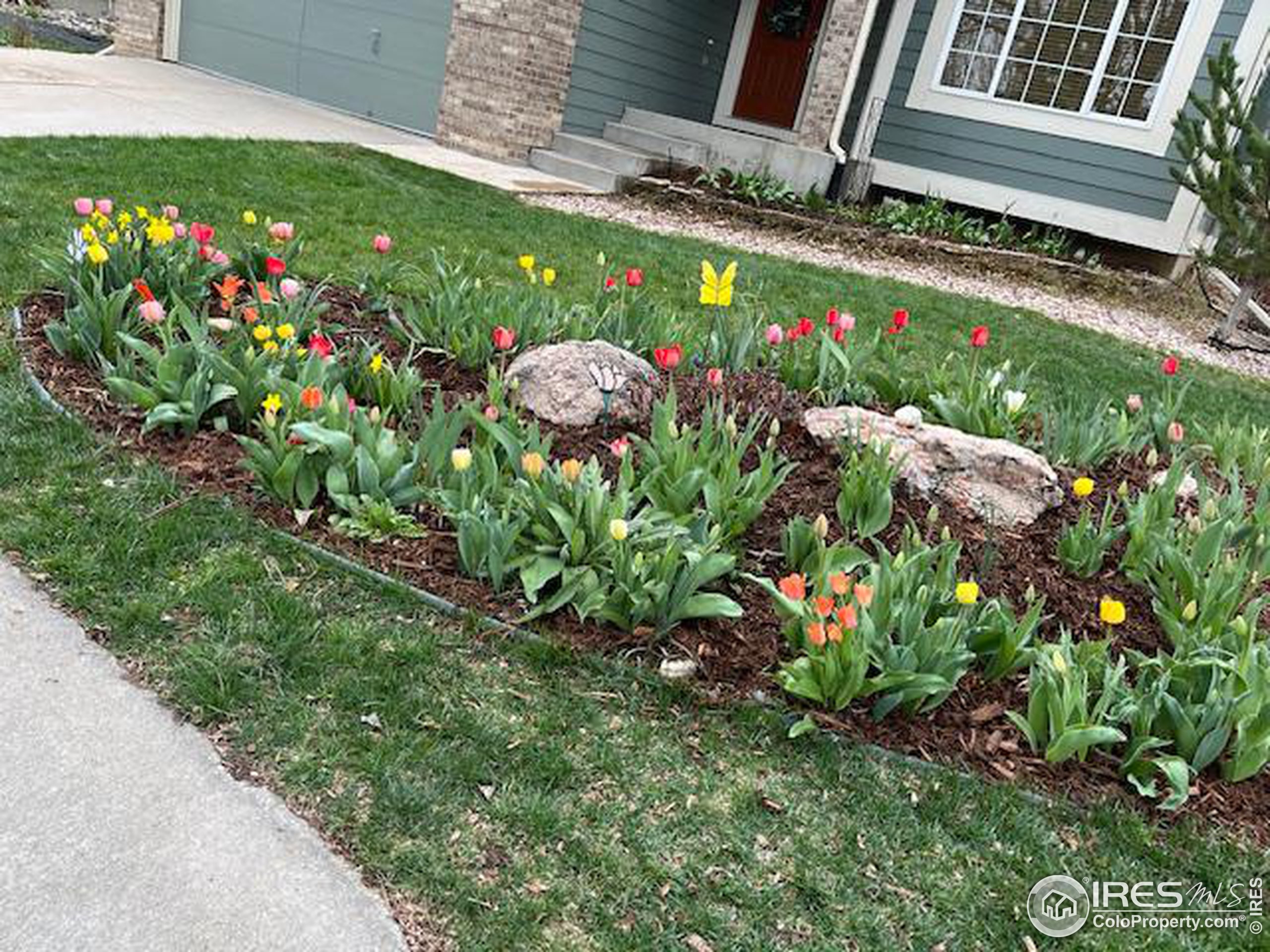 3890 Foothills Dr