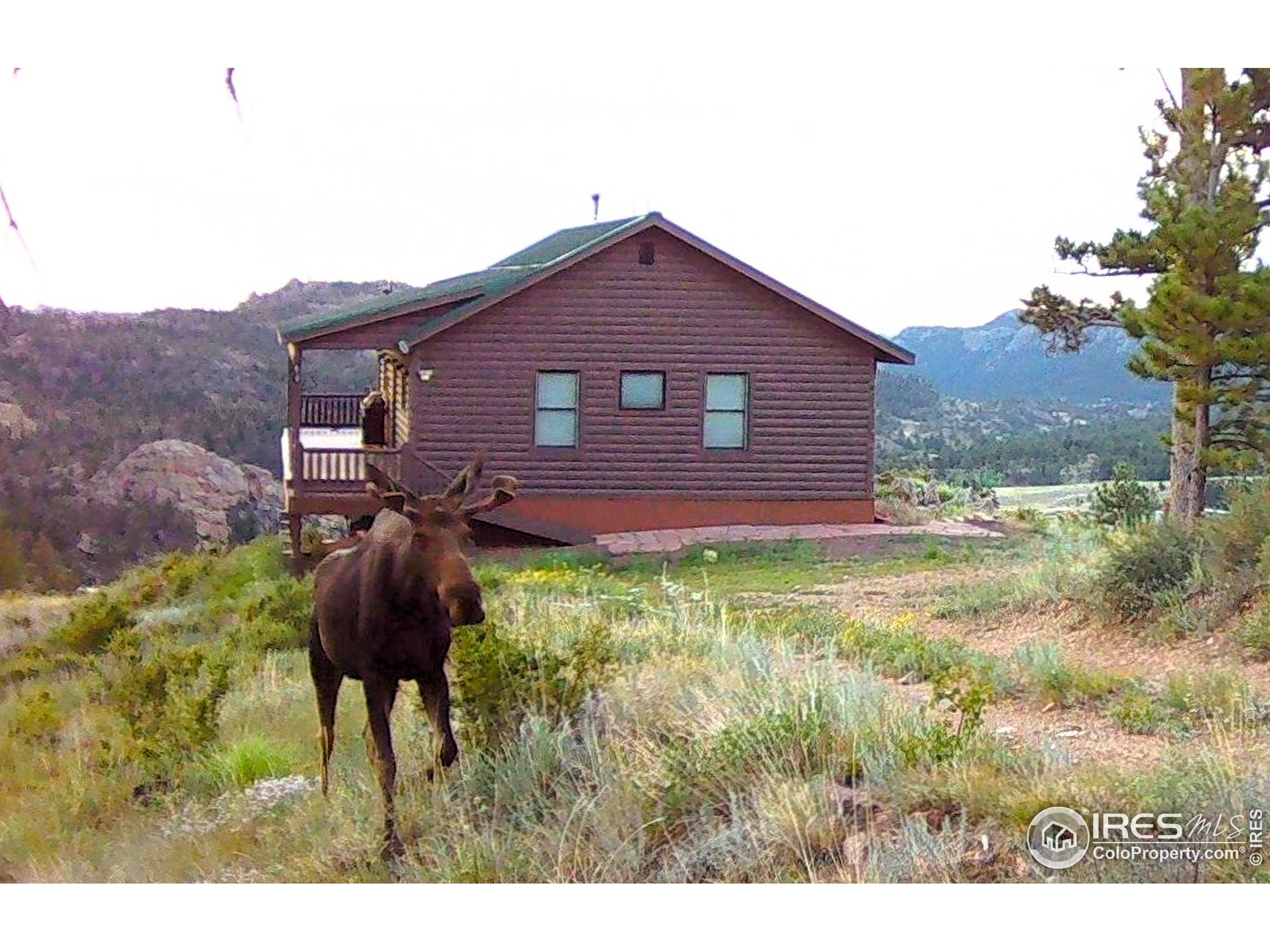500 Elk Mountain Rd