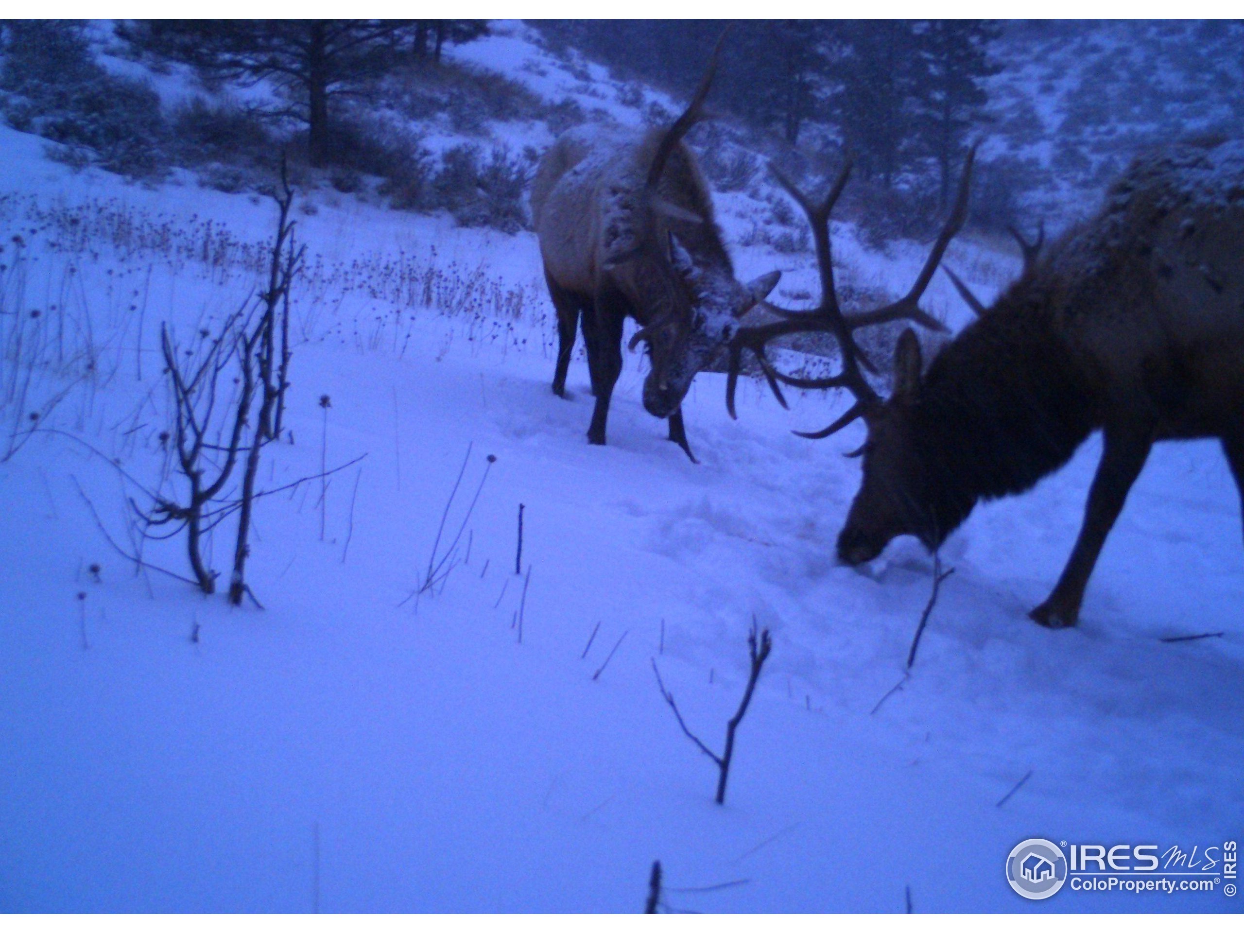 500 Elk Mountain Rd