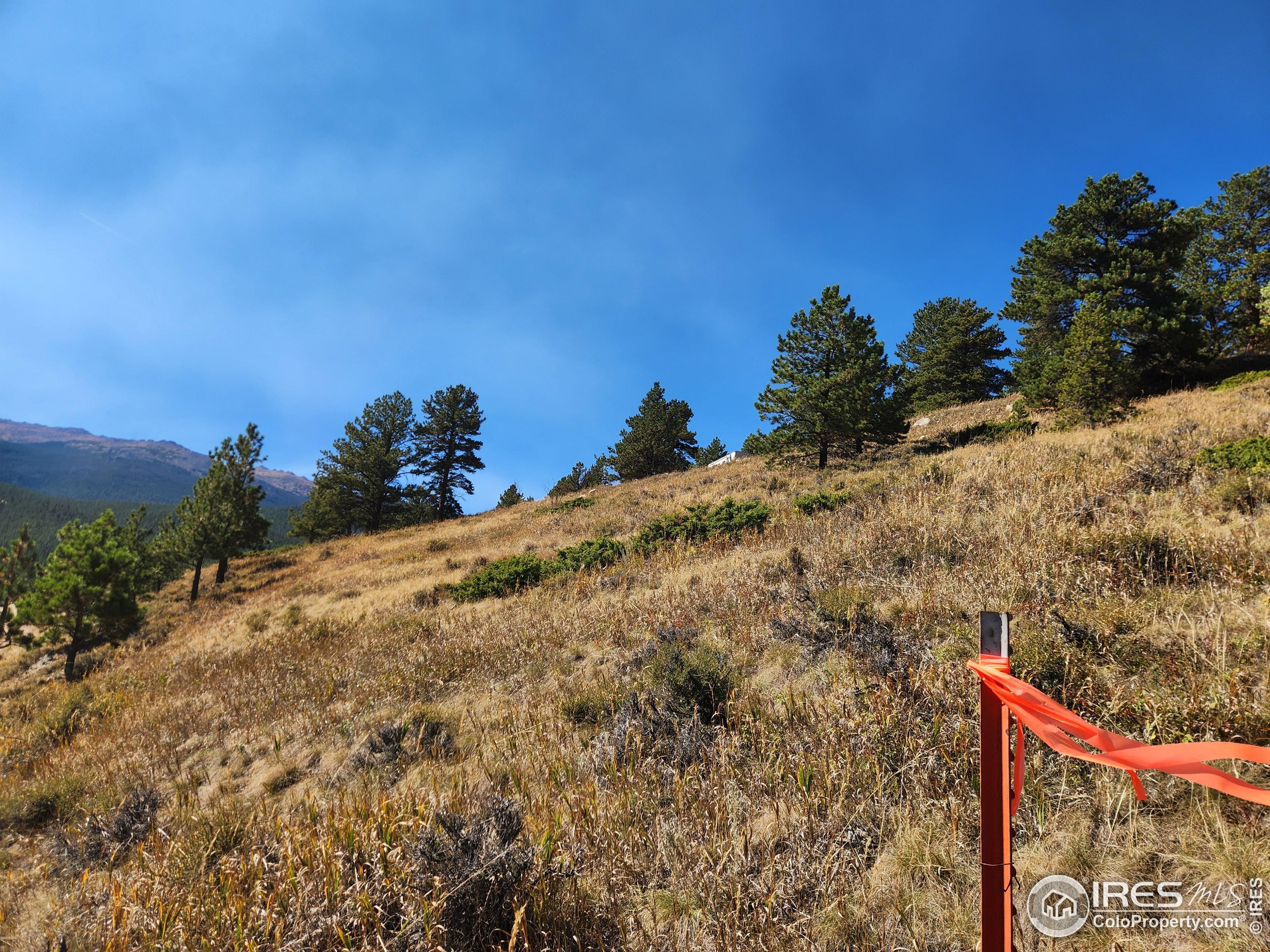 13729 Pingree Park Rd