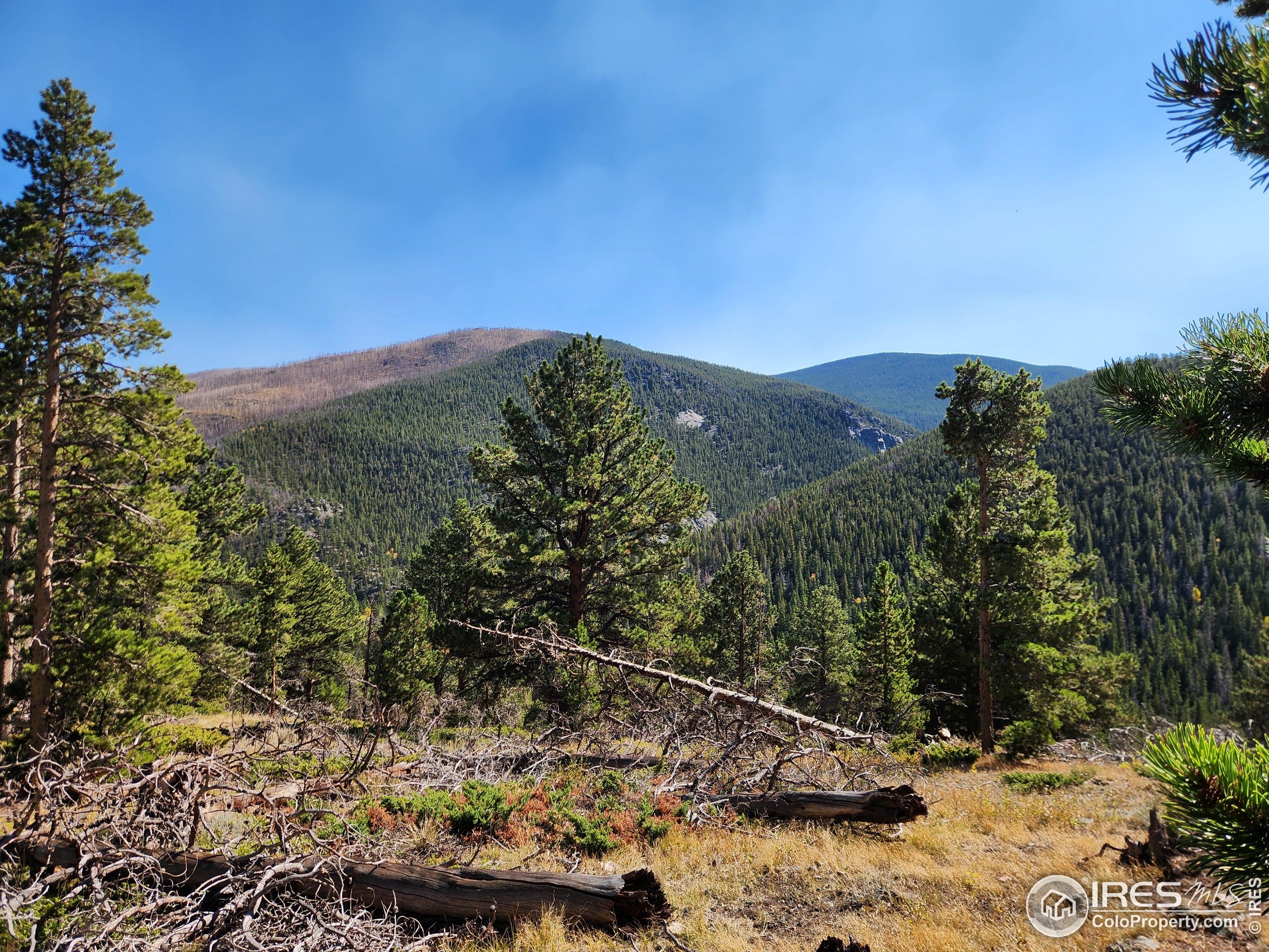 13729 Pingree Park Rd