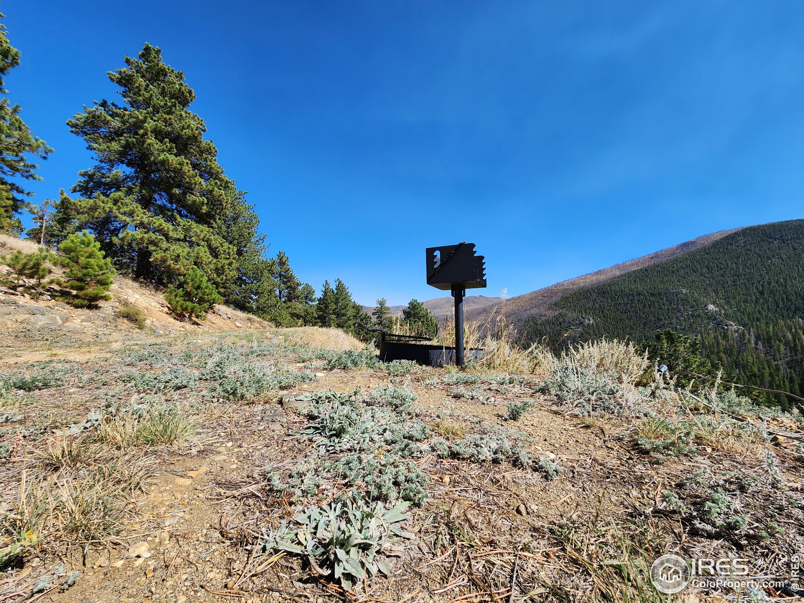 13729 Pingree Park Rd