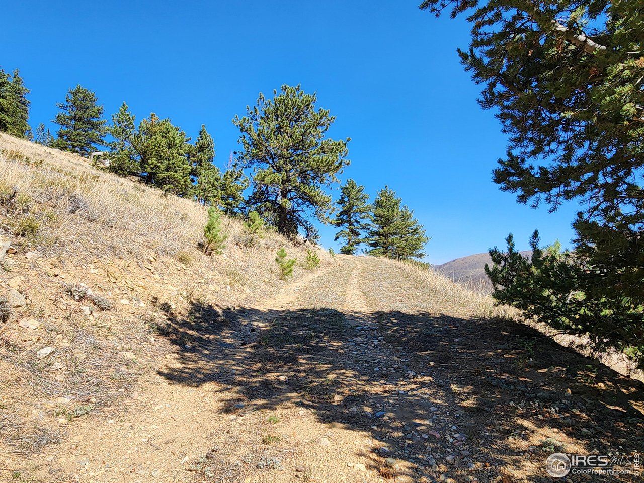 13729 Pingree Park Rd