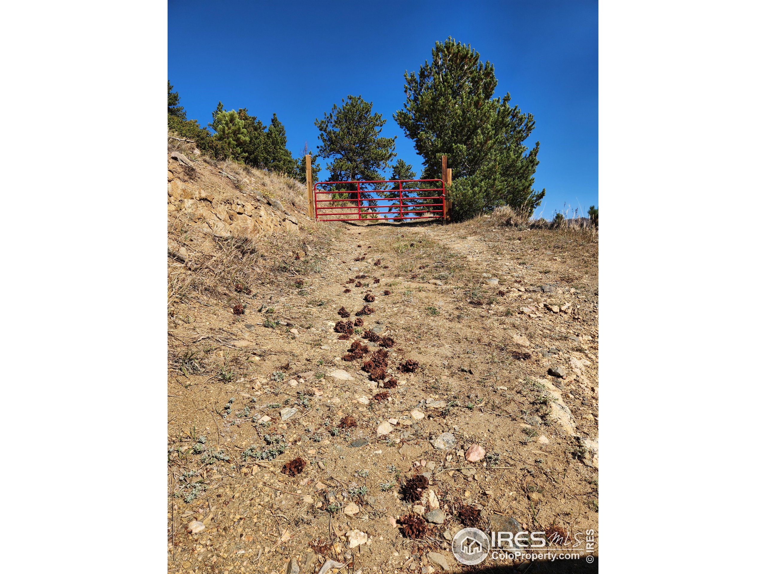 13729 Pingree Park Rd