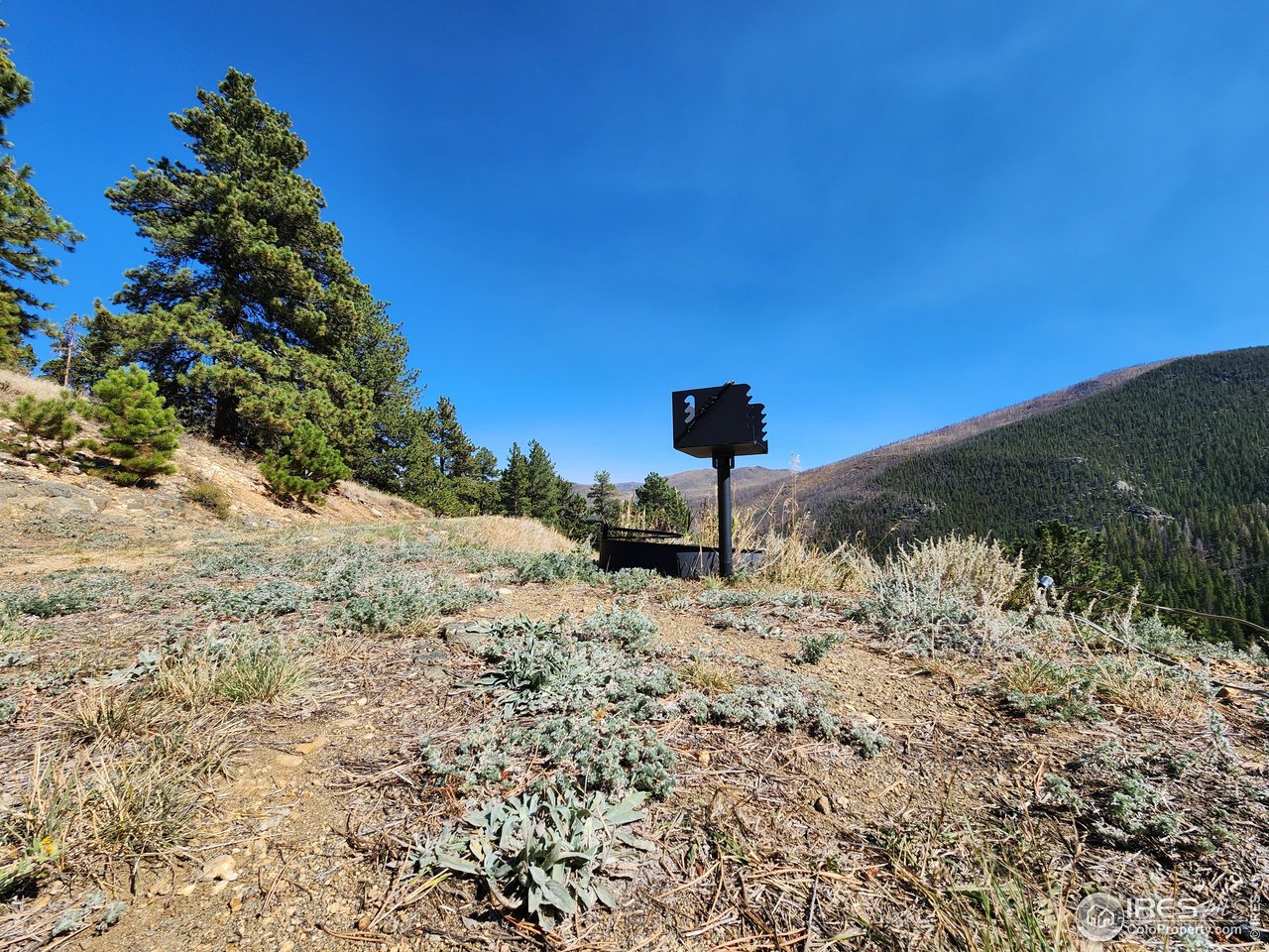 13729 Pingree Park Rd