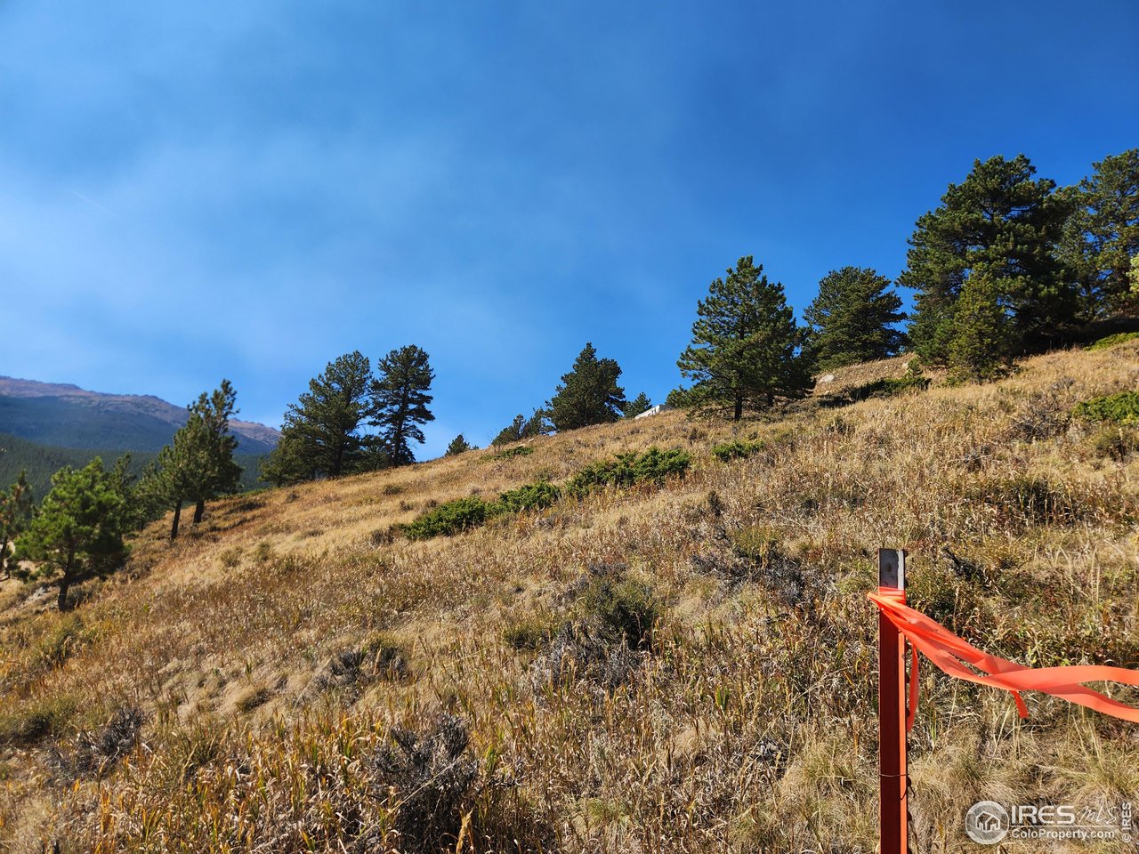 13729 Pingree Park Rd