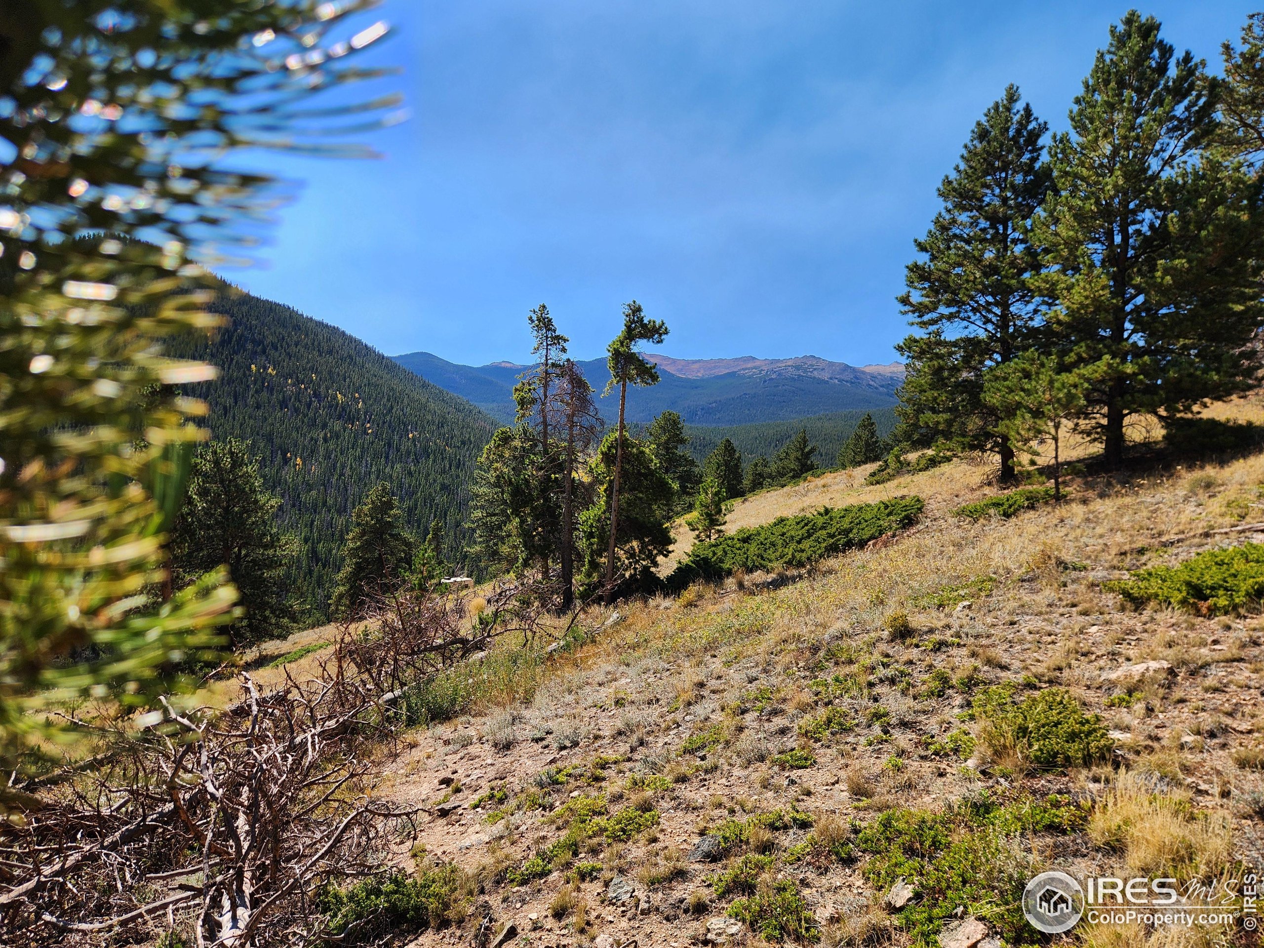 13729 Pingree Park Rd