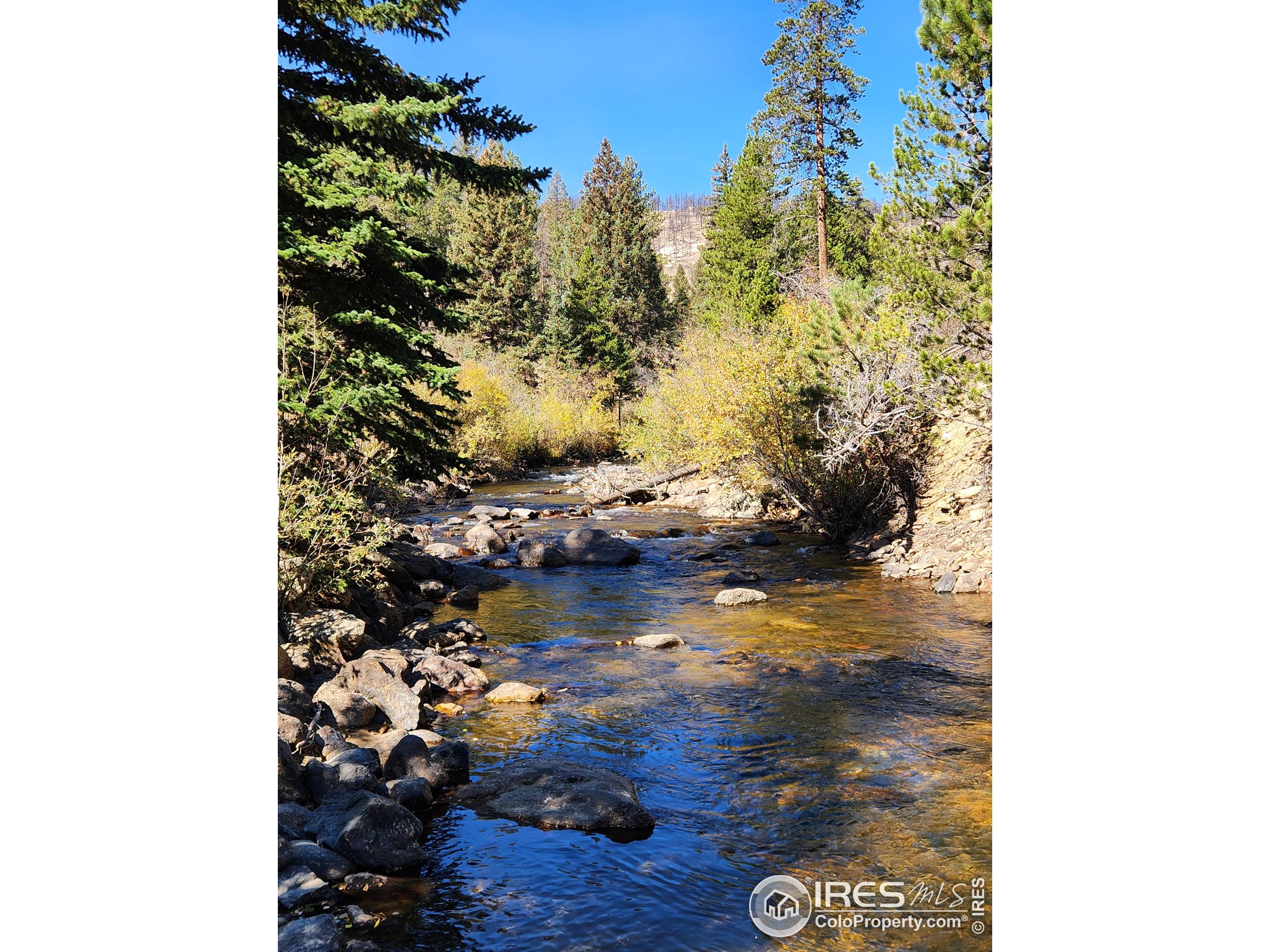 13729 Pingree Park Rd