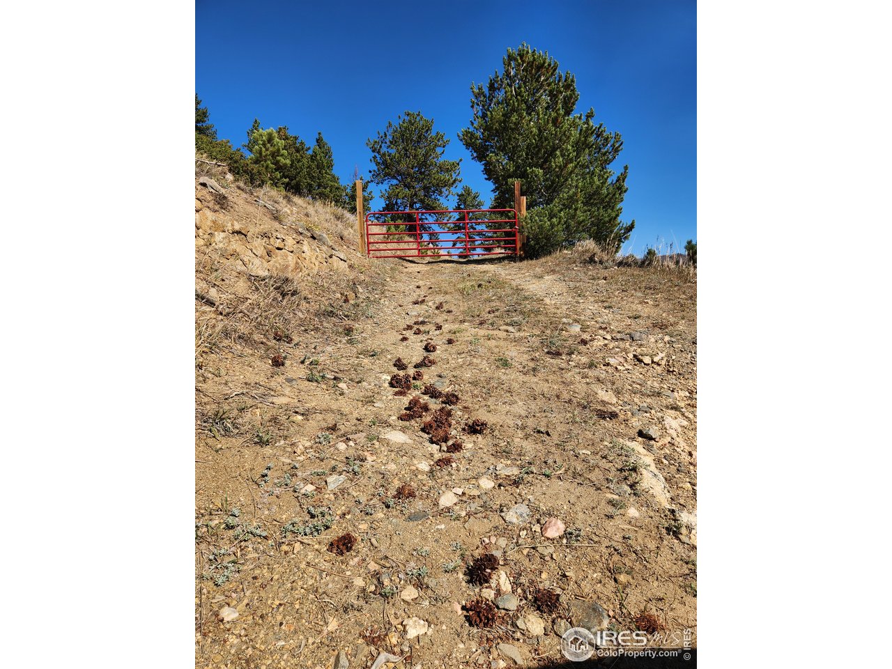 13729 Pingree Park Rd