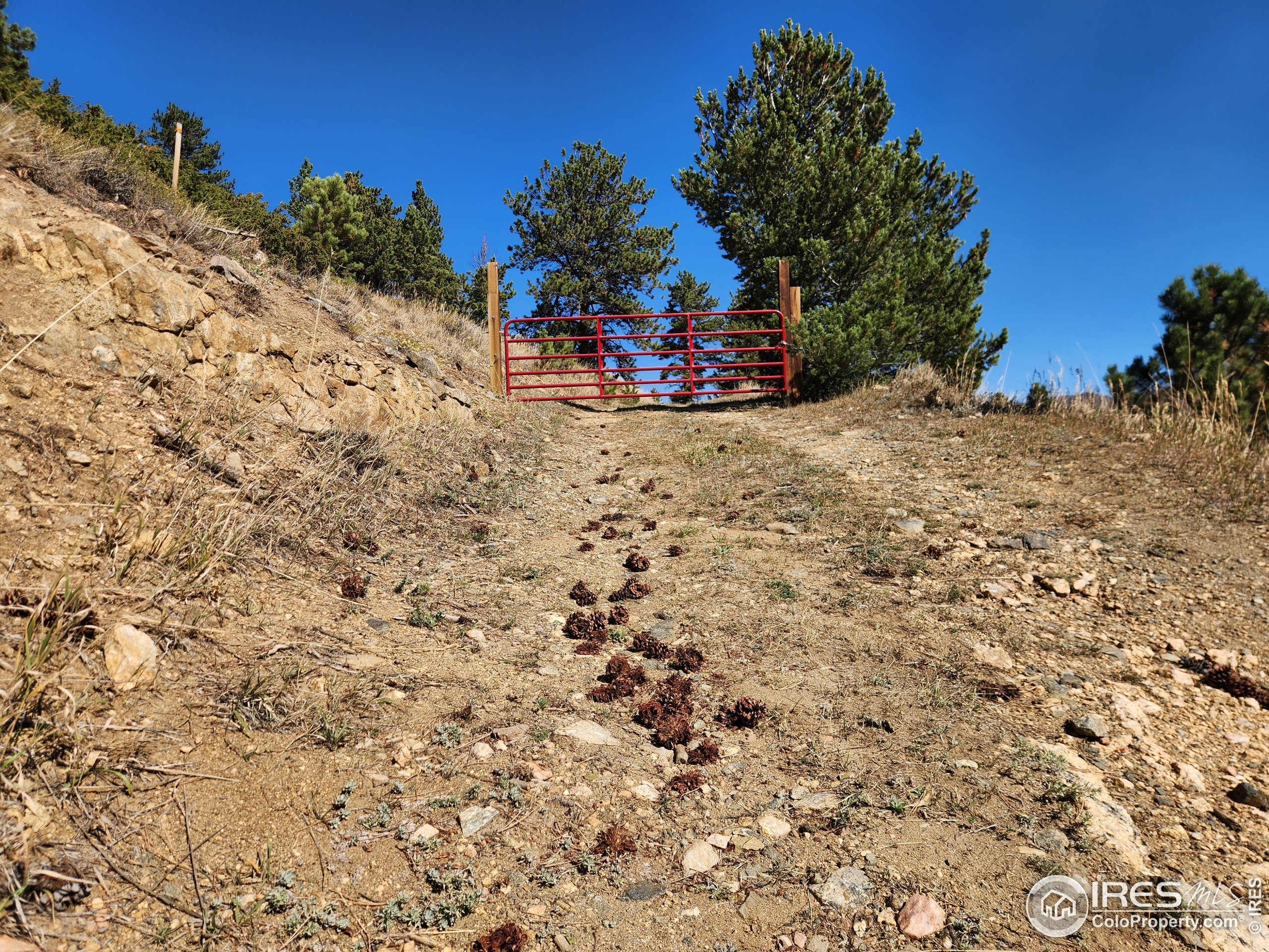 13729 Pingree Park Rd