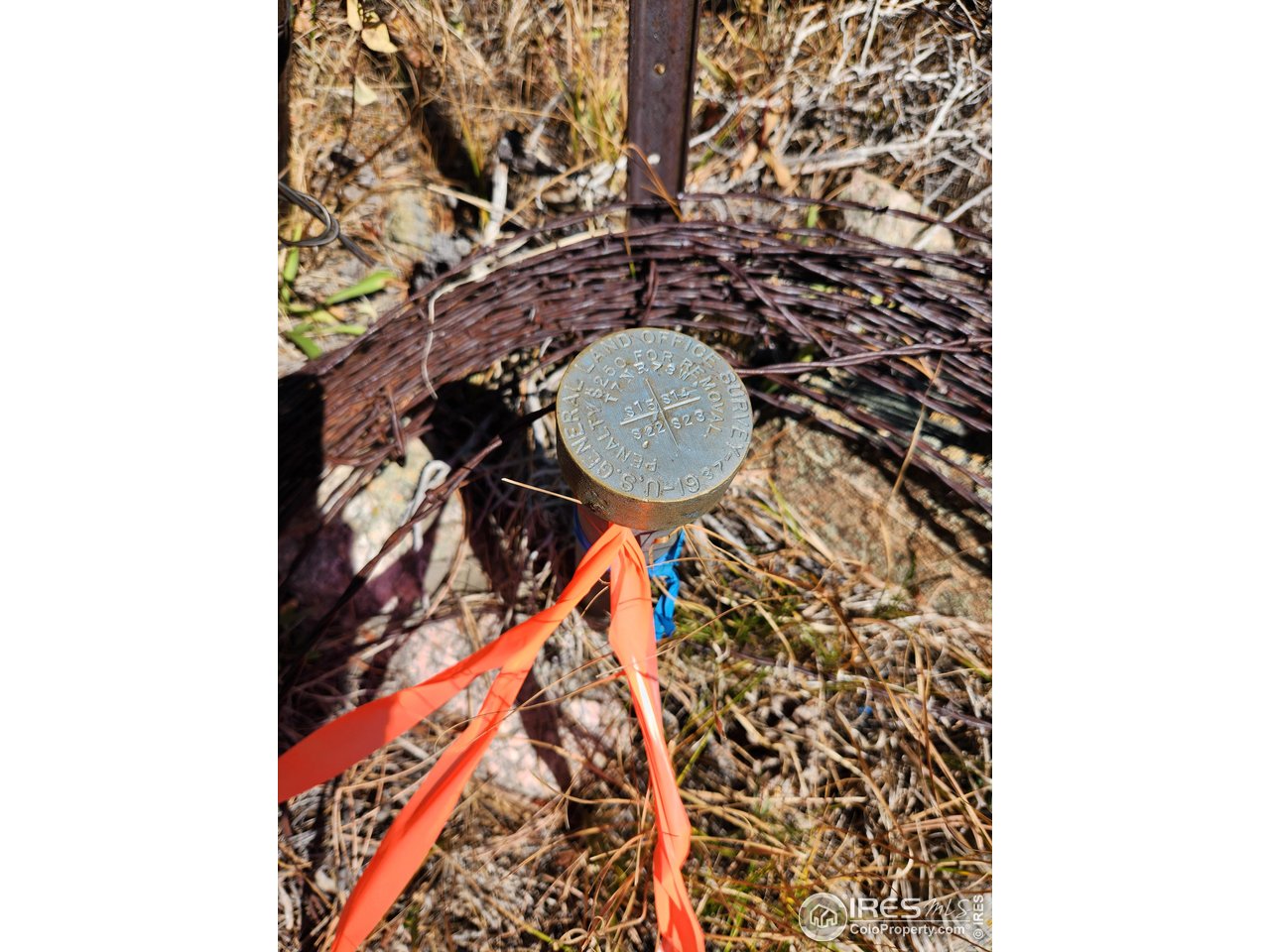 13729 Pingree Park Rd