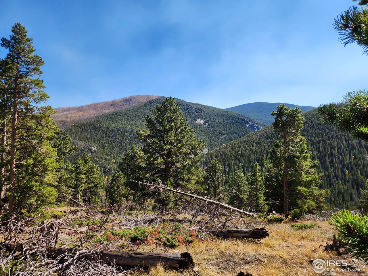 13729 Pingree Park Rd