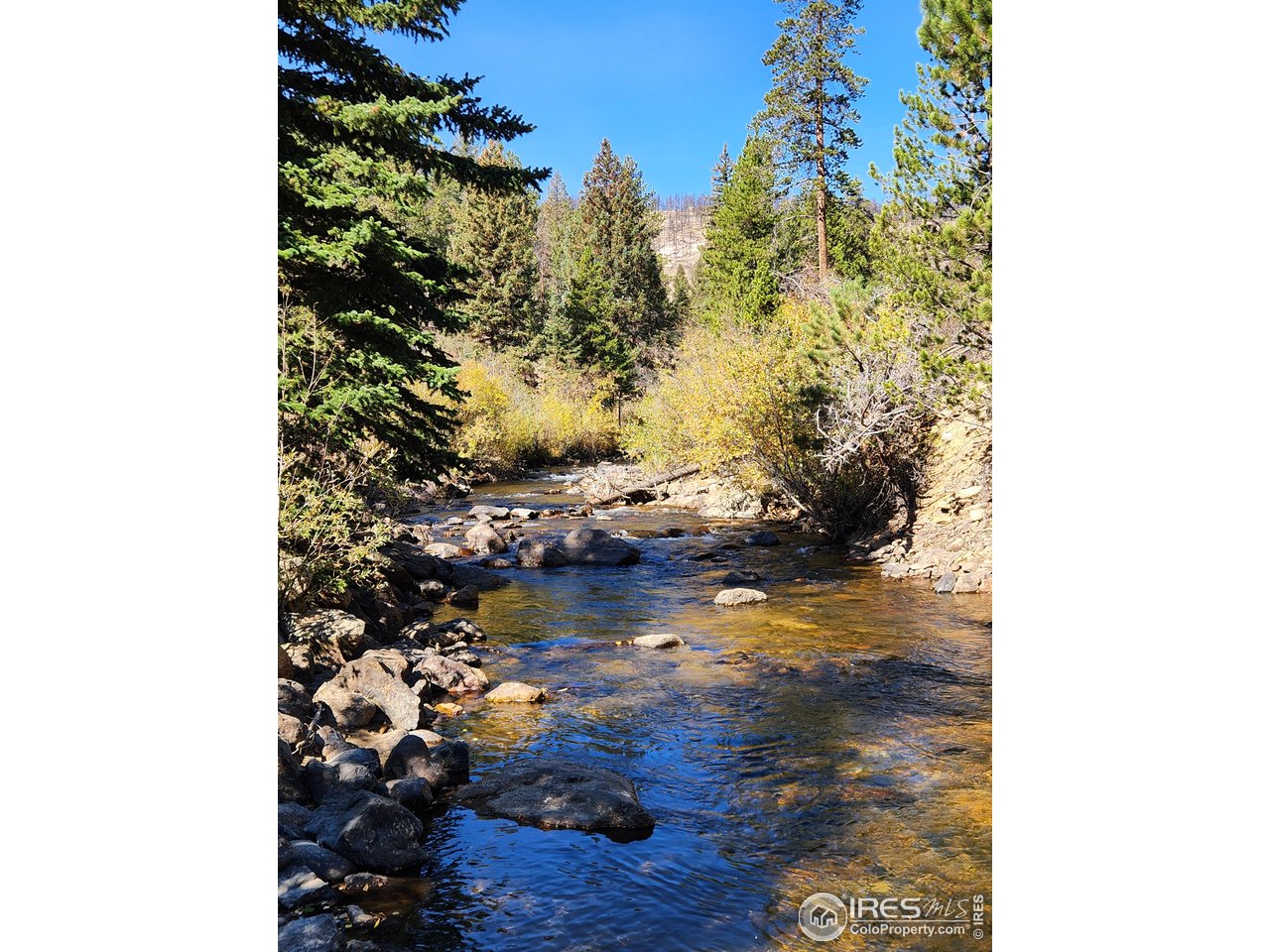 13729 Pingree Park Rd