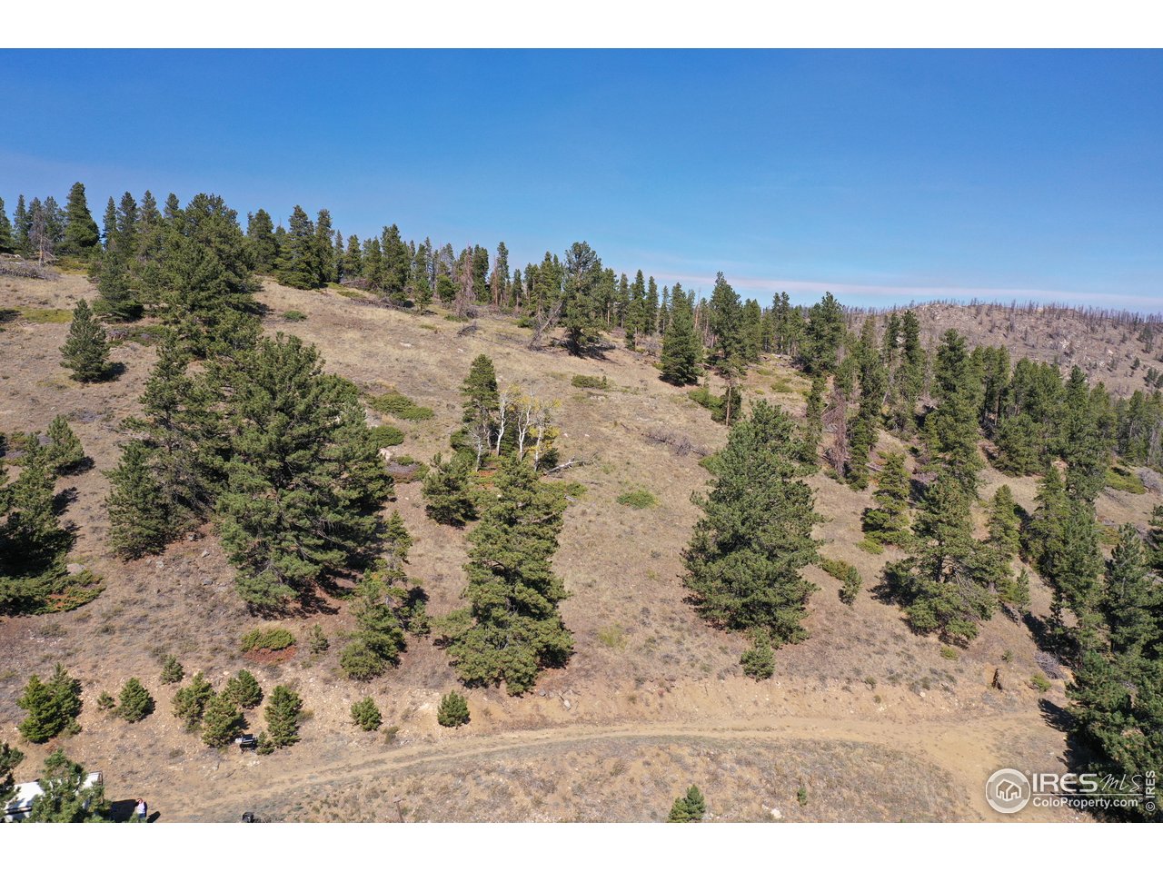 13729 Pingree Park Rd