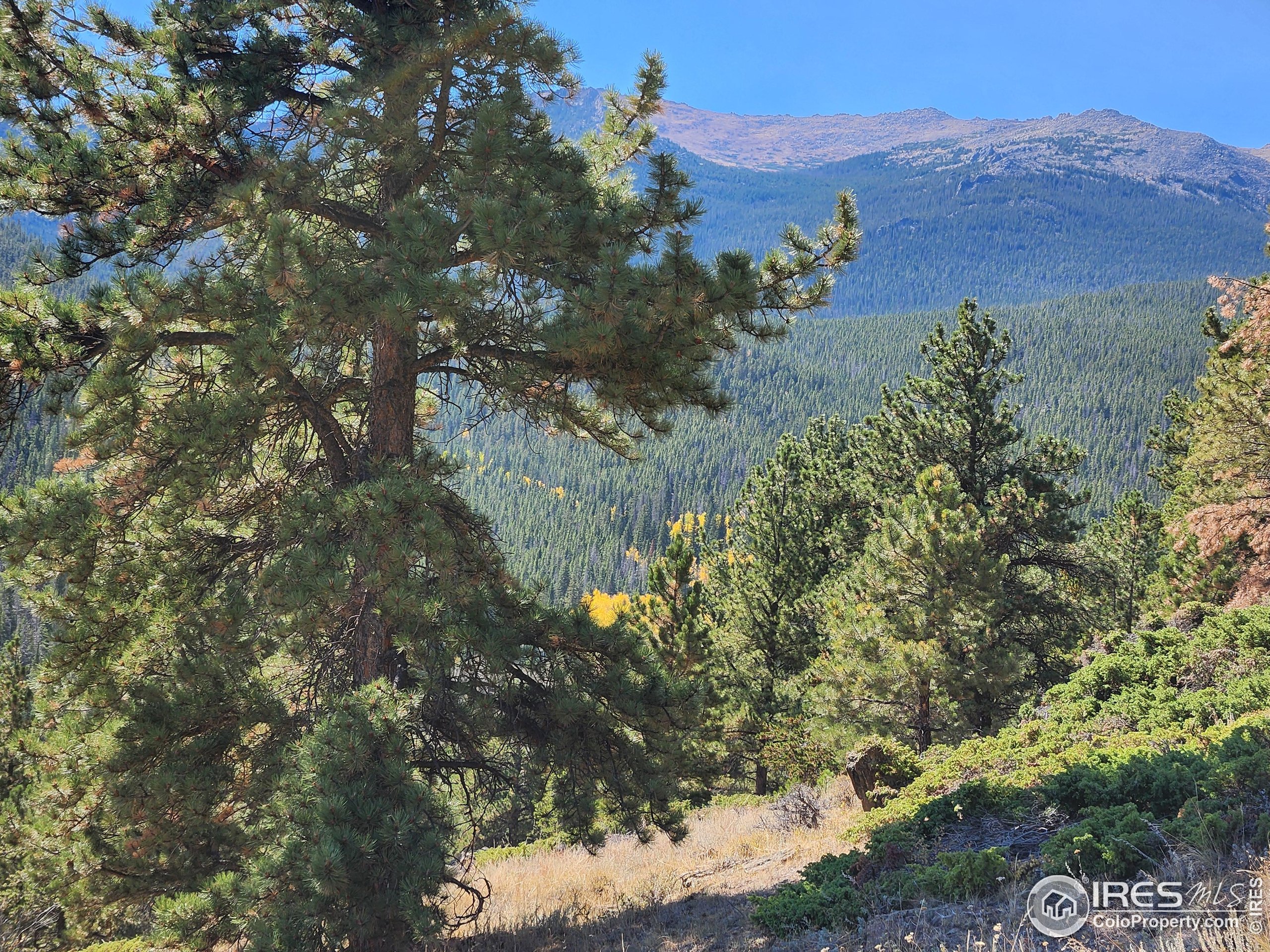 13729 Pingree Park Rd