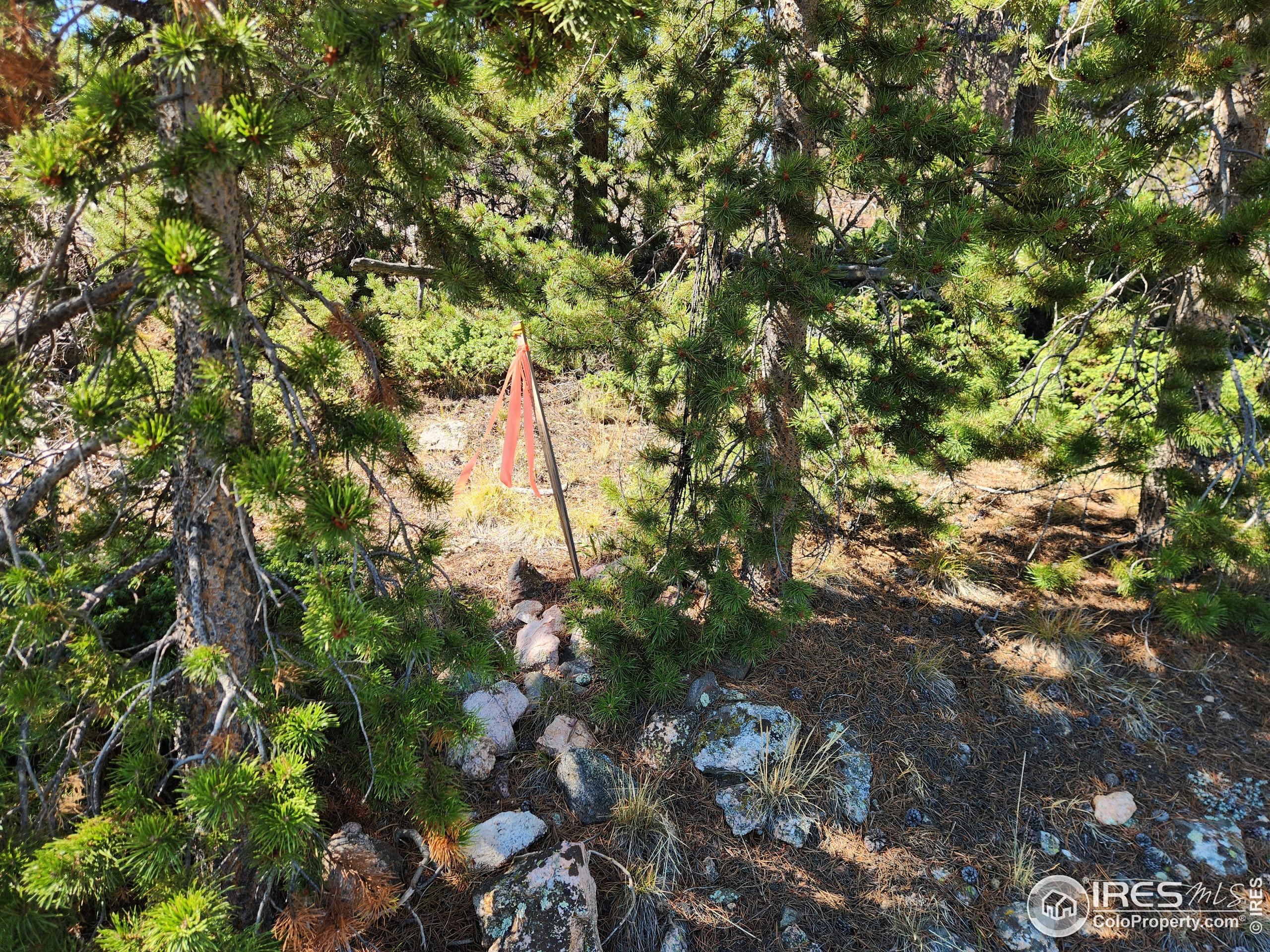 13729 Pingree Park Rd