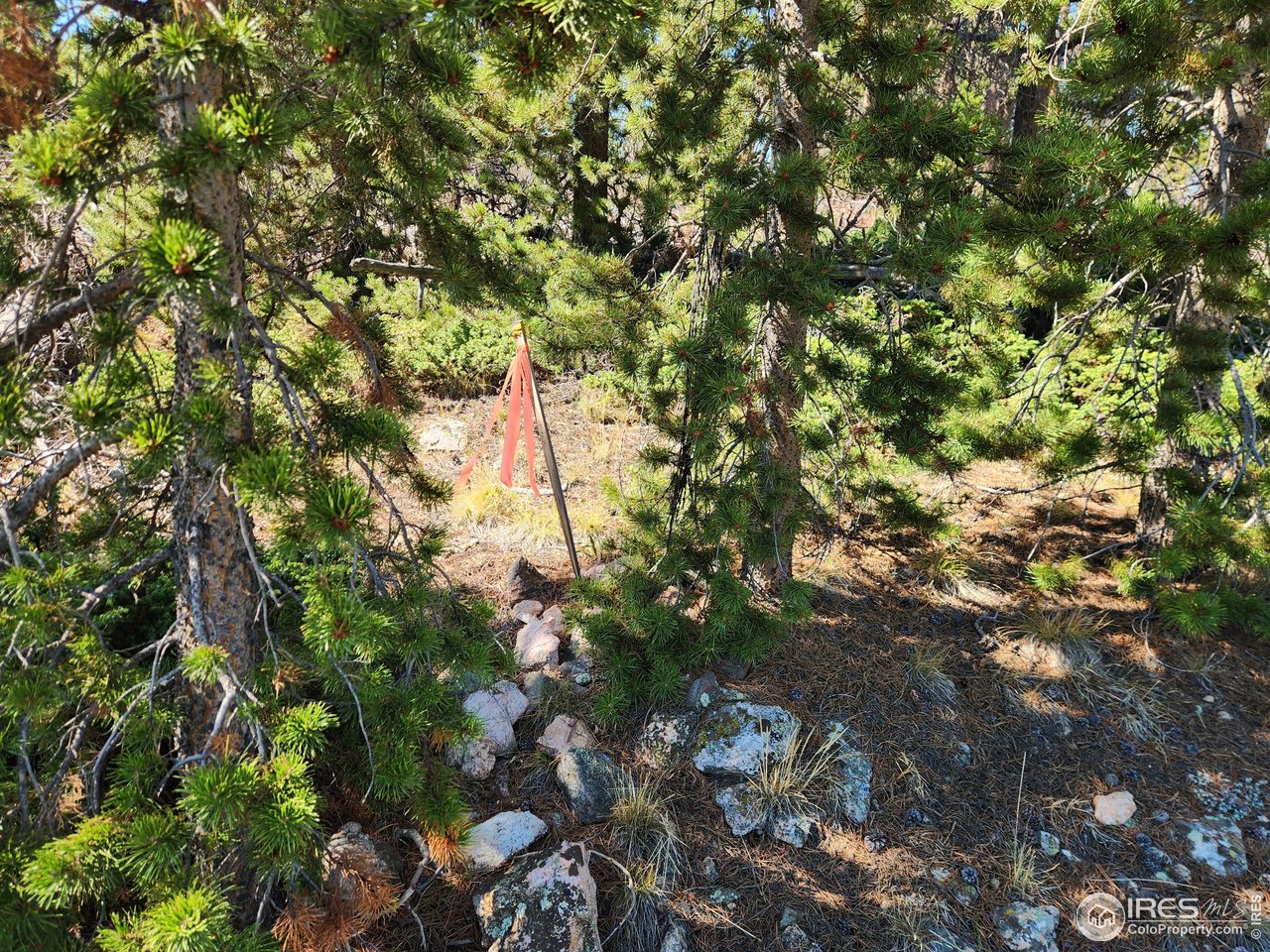 13729 Pingree Park Rd