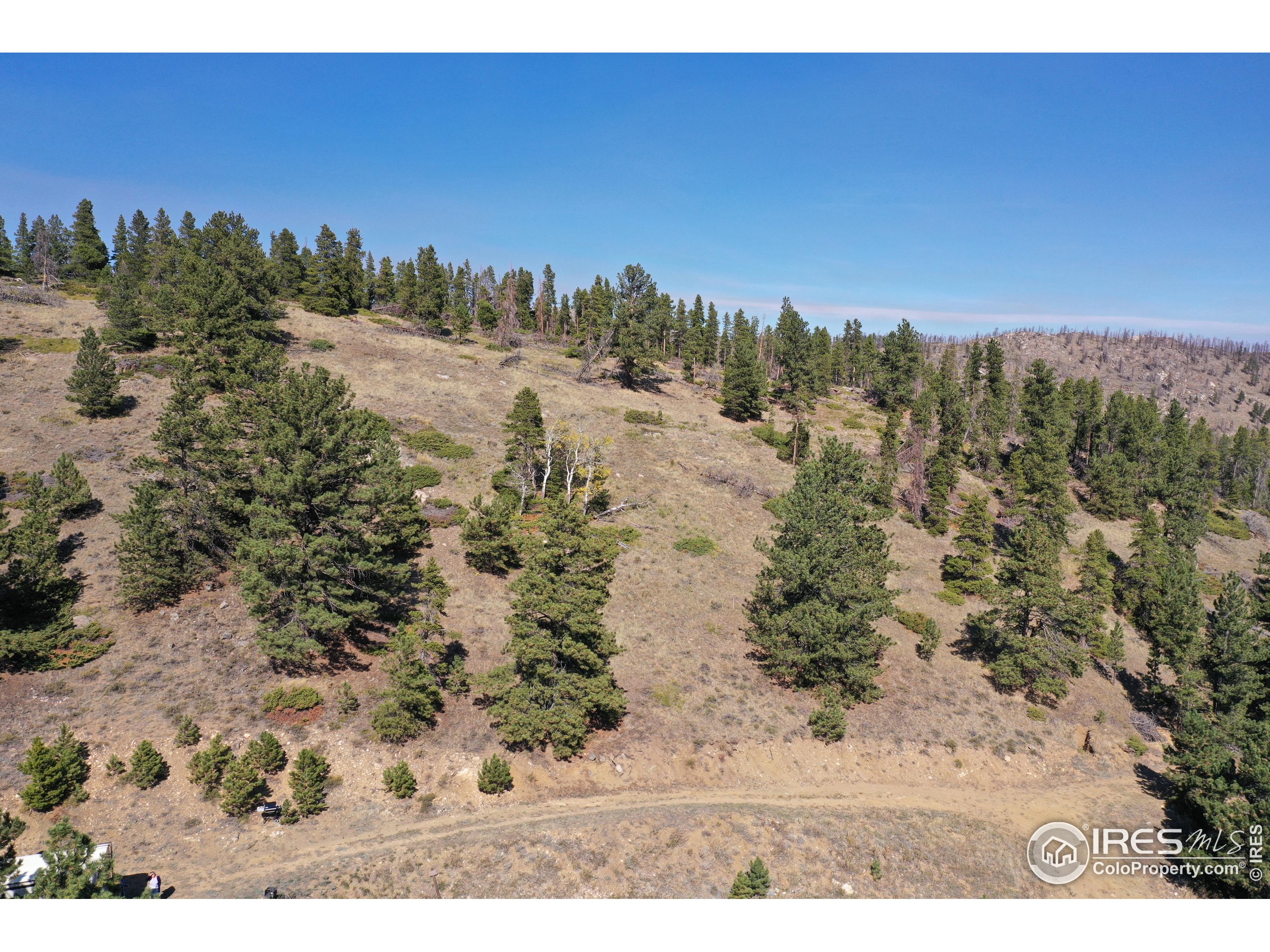 13729 Pingree Park Rd