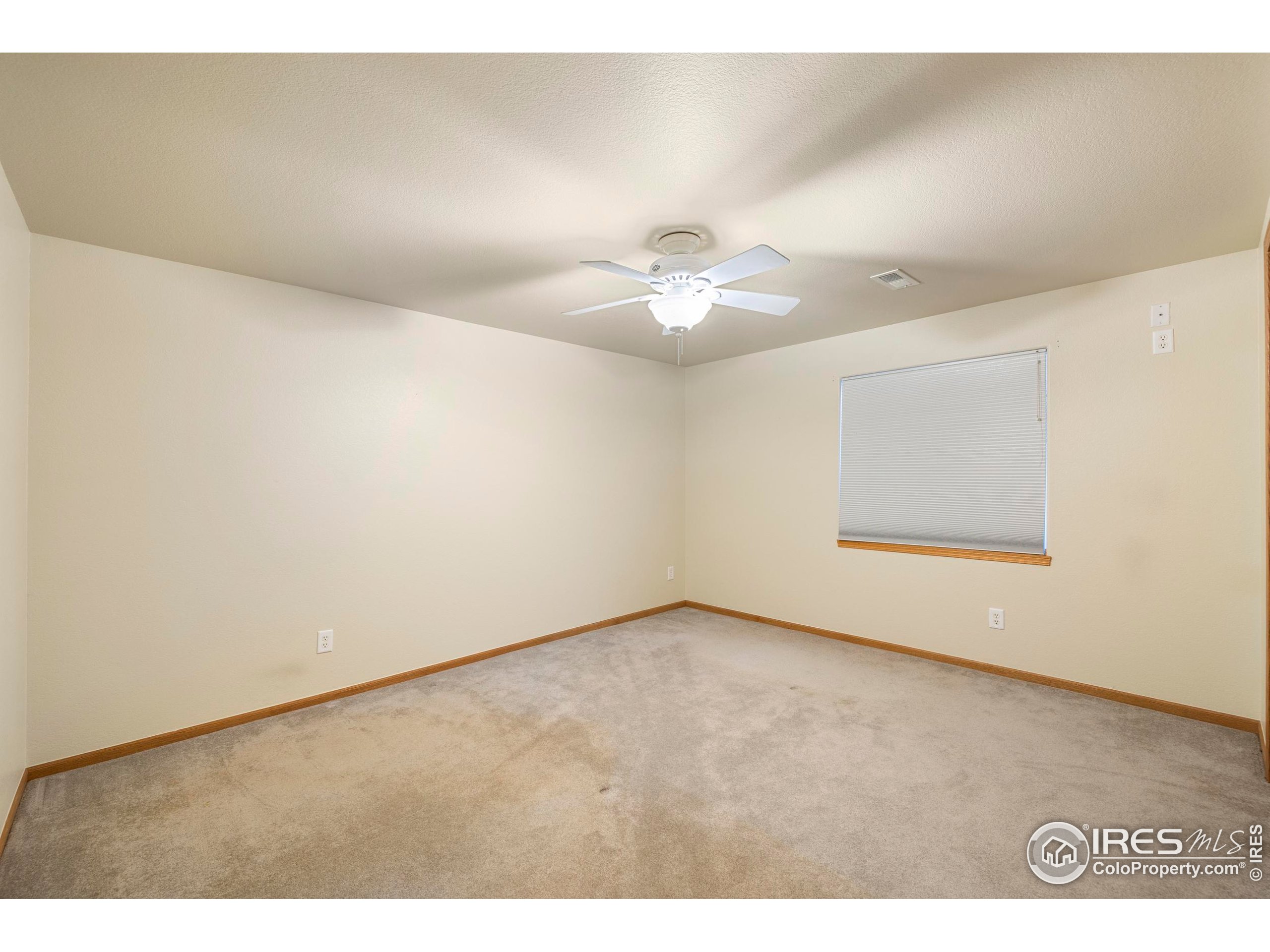 906 Province Rd