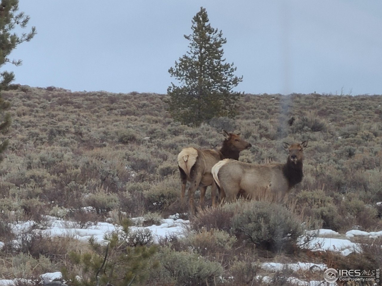 405 Grand County Rd 634