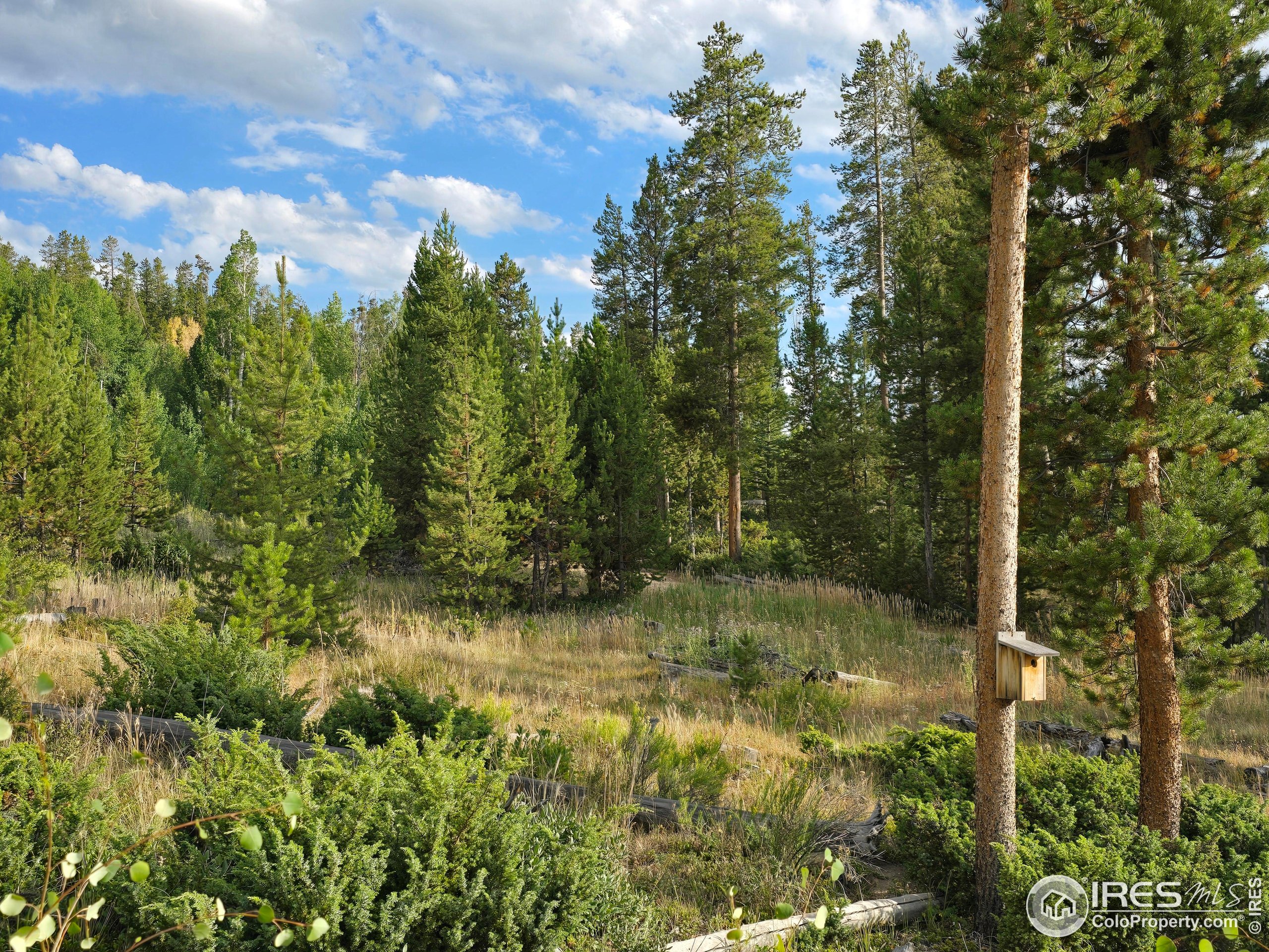 405 Grand County Rd 634