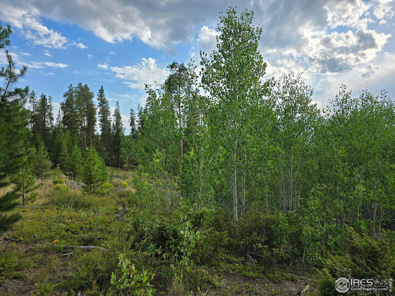 405 Grand County Rd 634