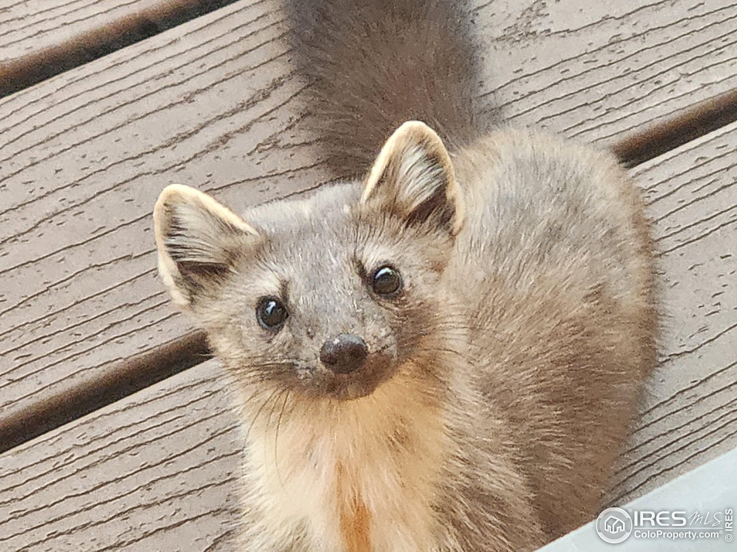 405 Grand County Rd 634