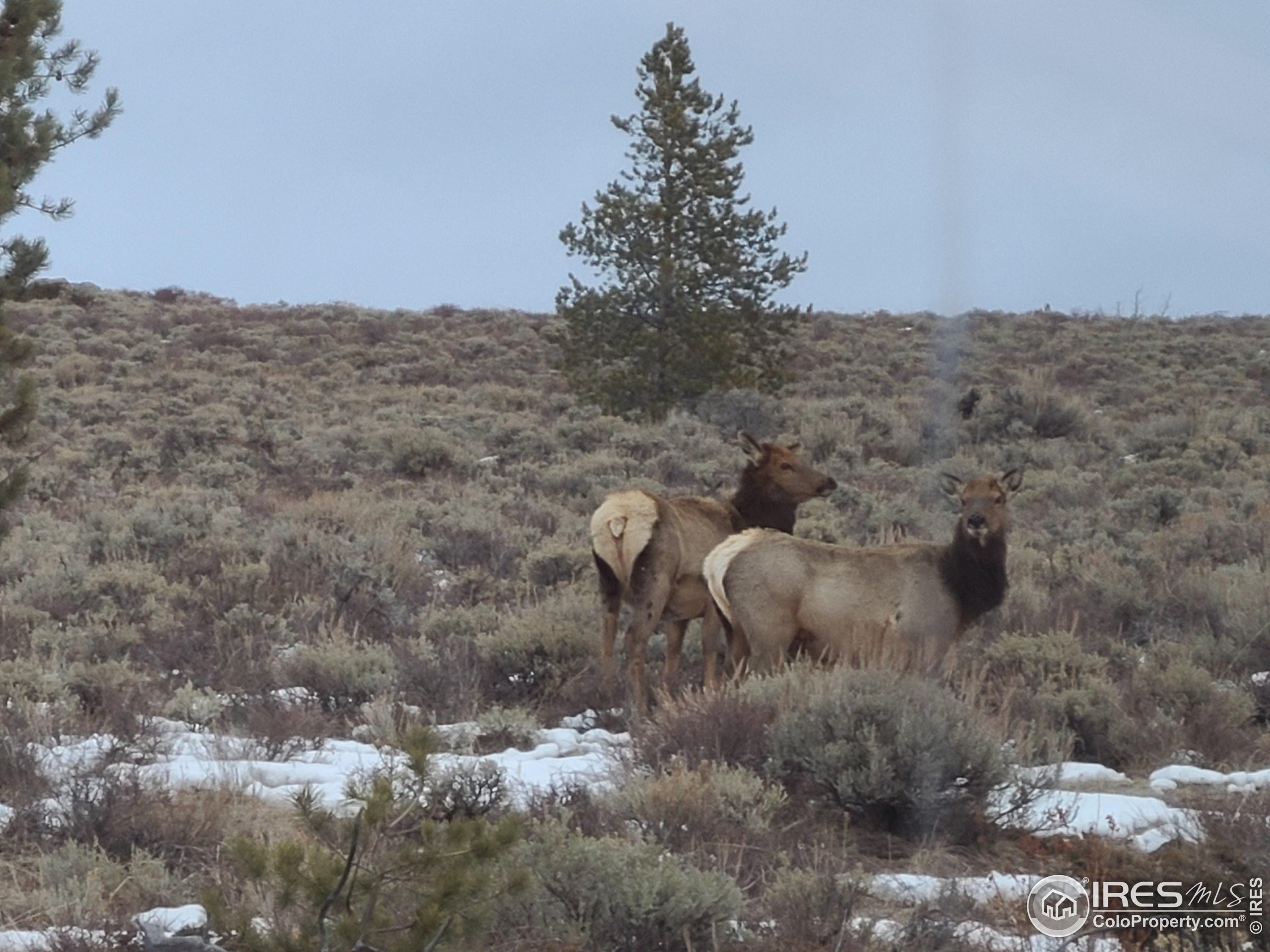 405 Grand County Rd 634