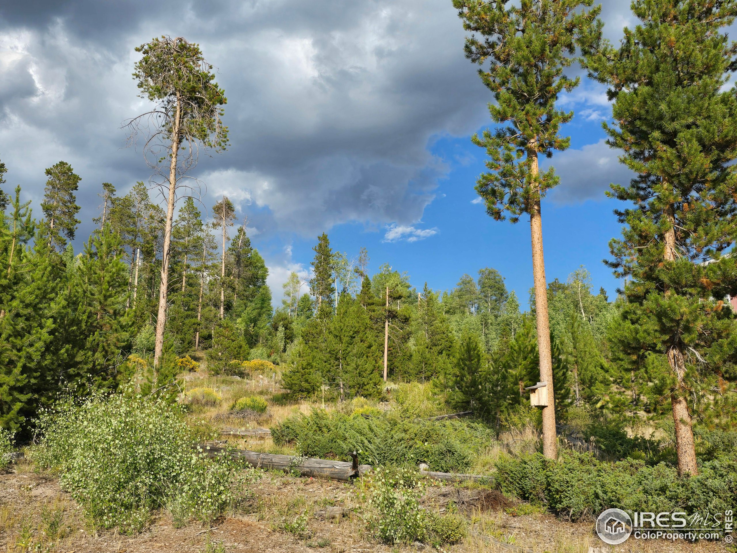 405 Grand County Rd 634