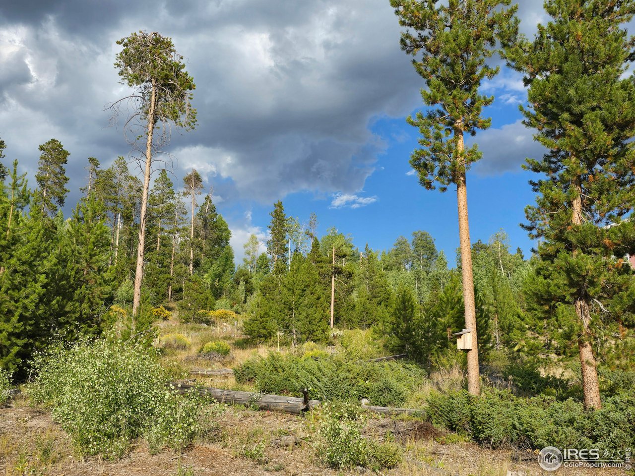 405 Grand County Rd 634