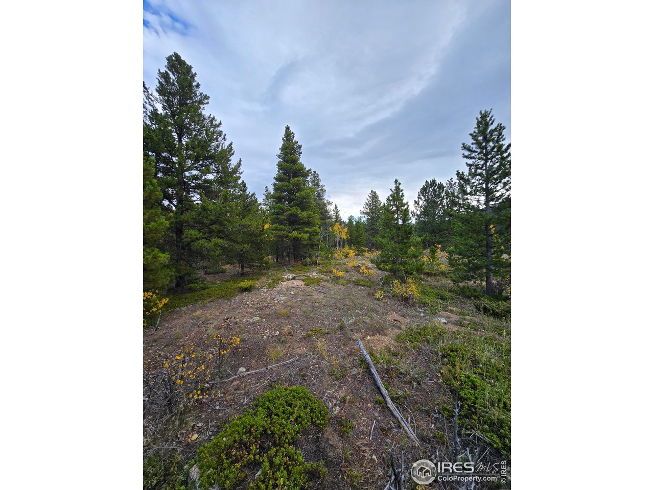 187 Arapaho Dr