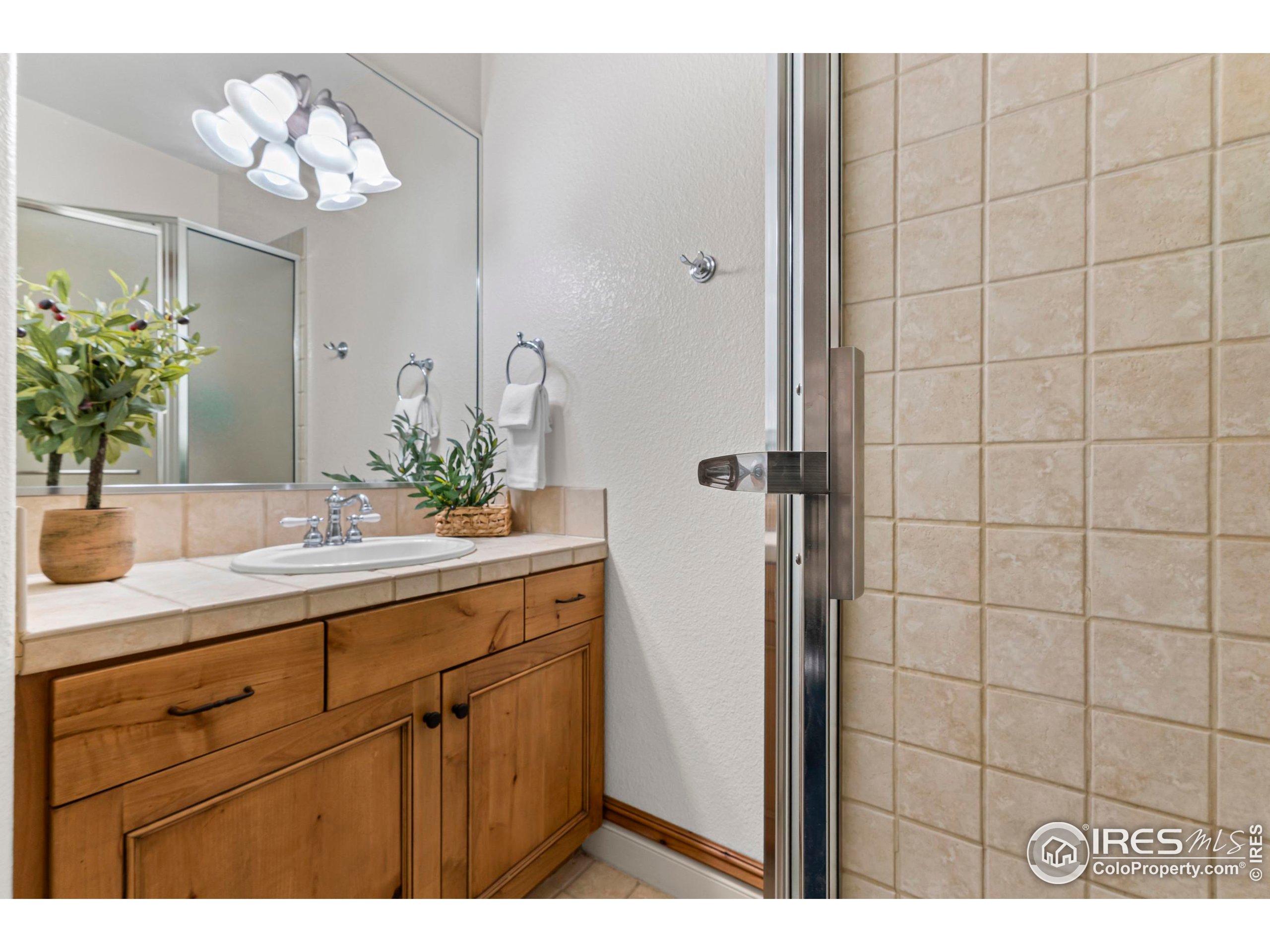 8228 Three Eagles Dr Fort Collins