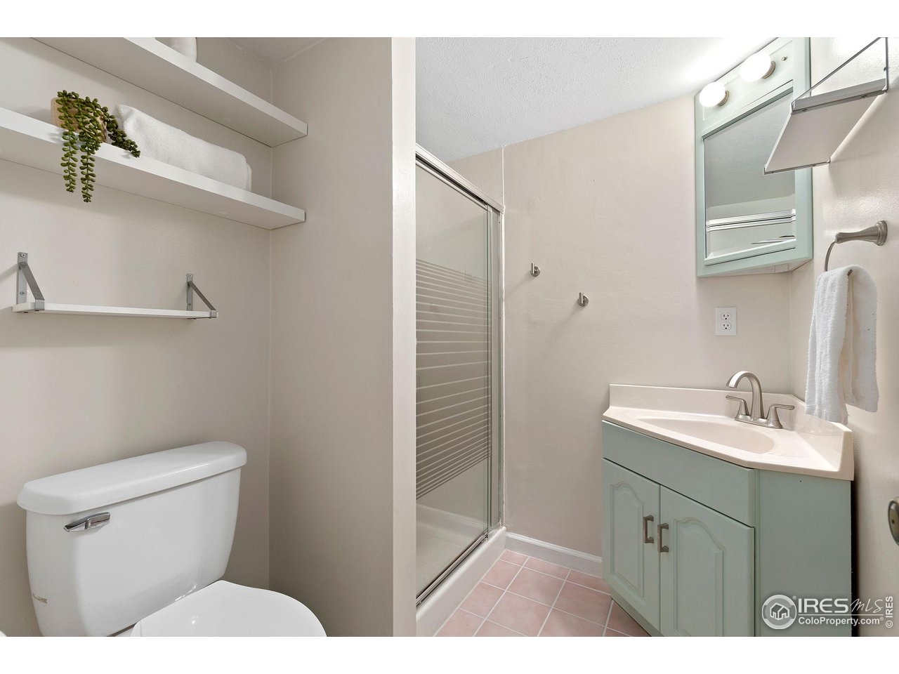 5204 S Richfield St Centennial