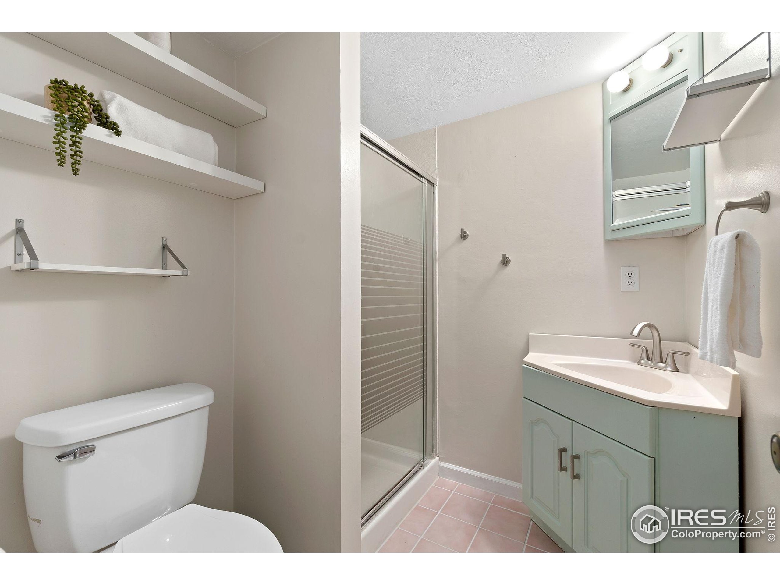 5204 S Richfield St Centennial