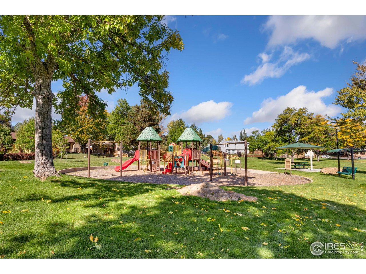 5204 S Richfield St Centennial