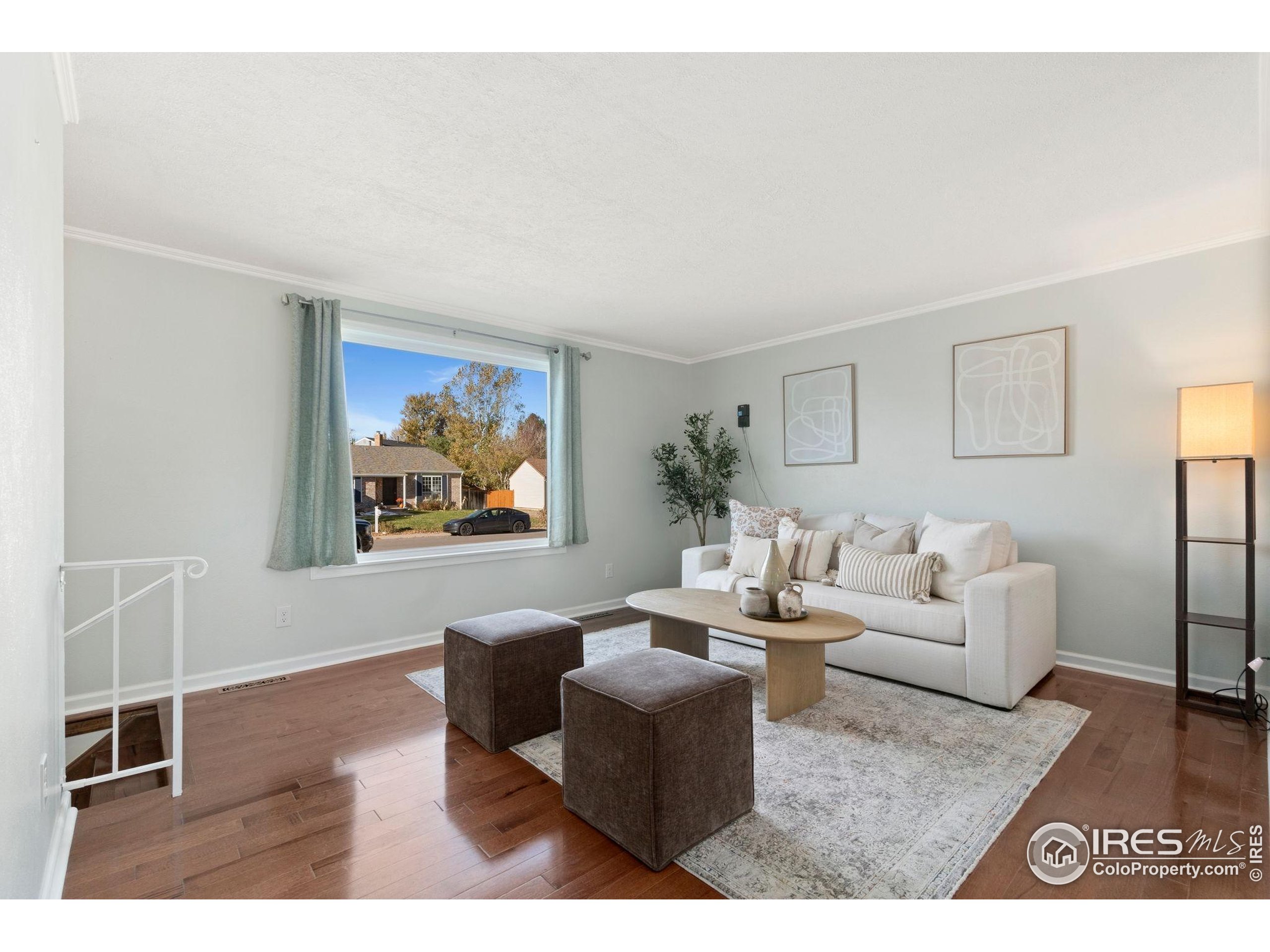 5204 S Richfield St Centennial