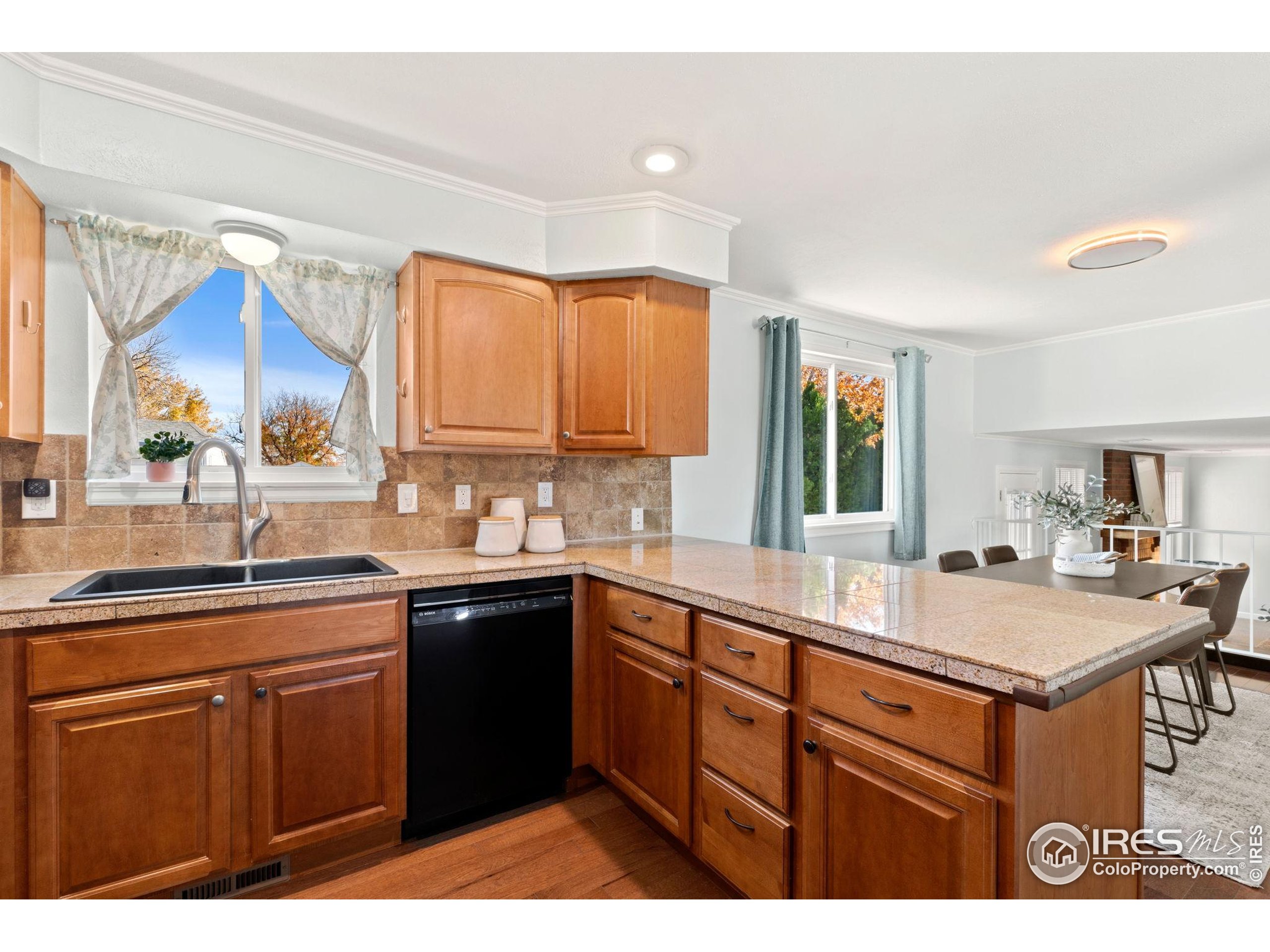 5204 S Richfield St Centennial