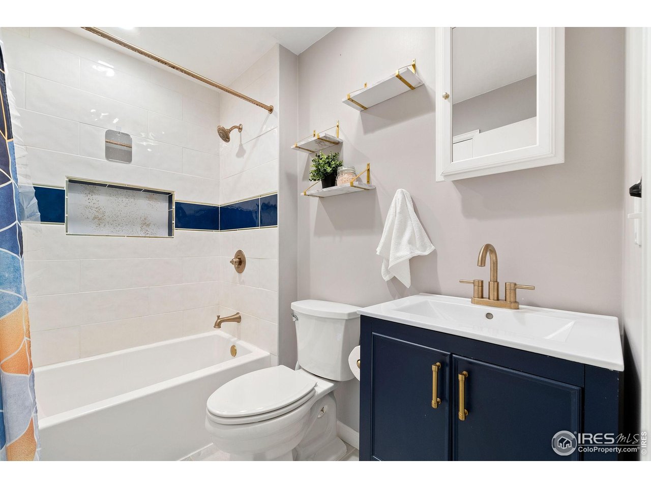 5204 S Richfield St Centennial