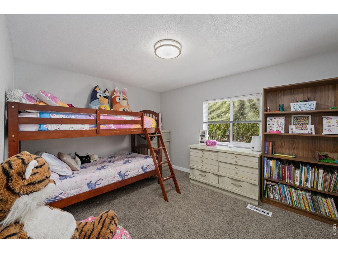 8333 Never Summer Cir