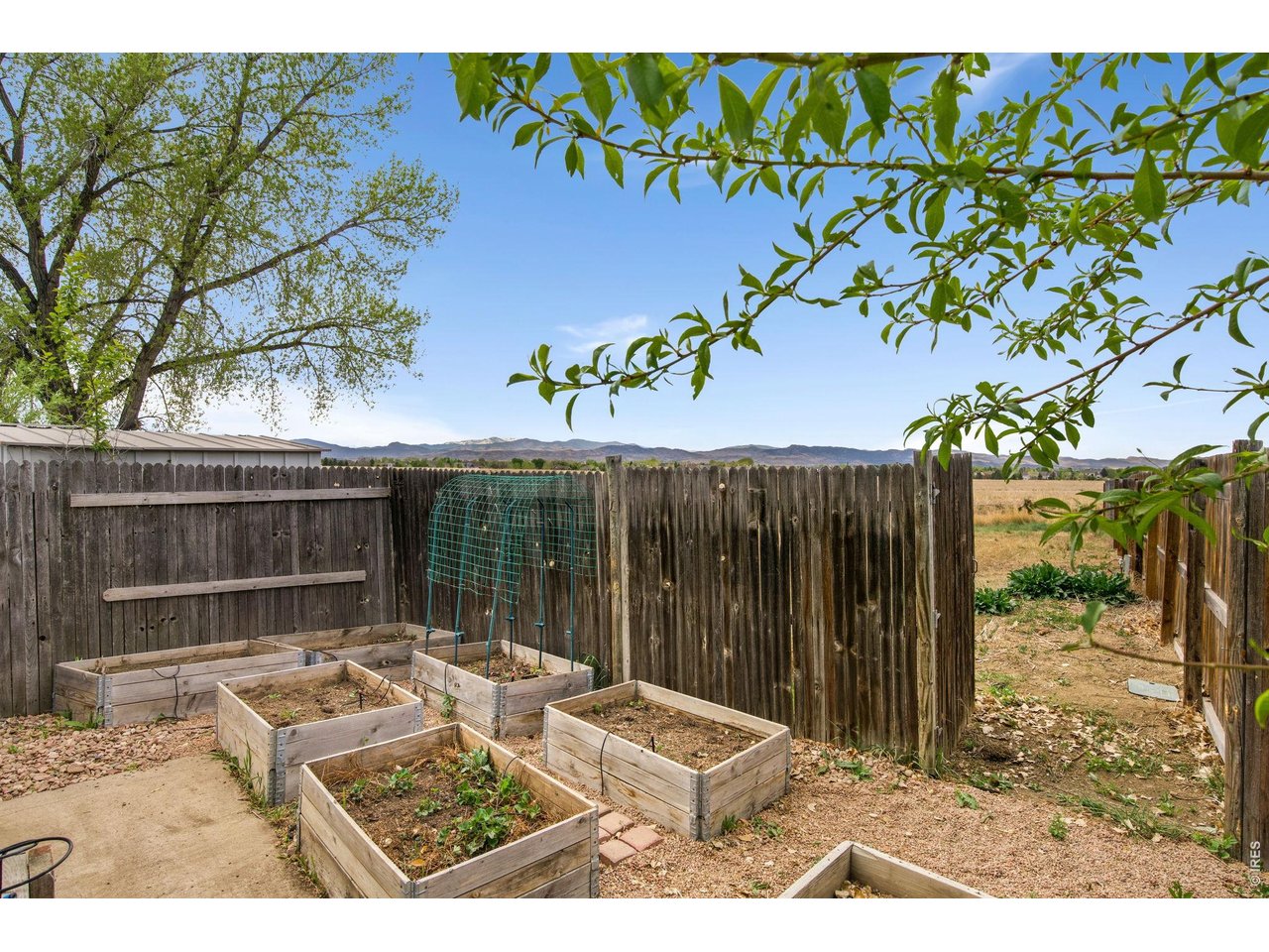 8333 Never Summer Cir