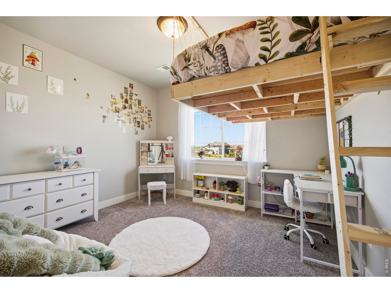 1411 Coues Deer Dr