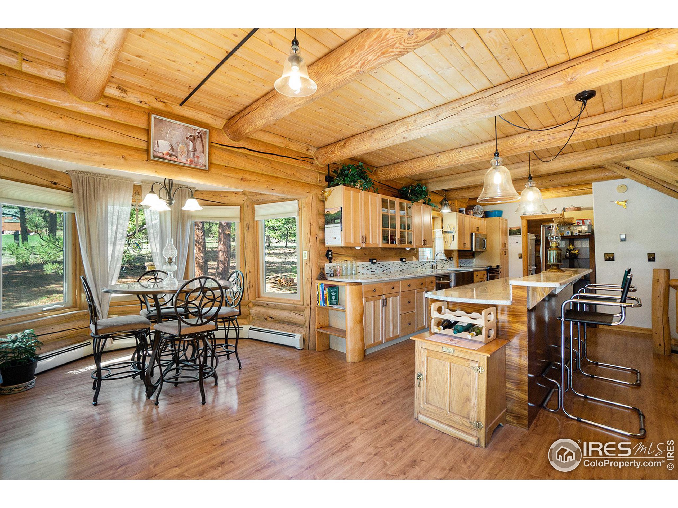 67 Mount Evans Ct